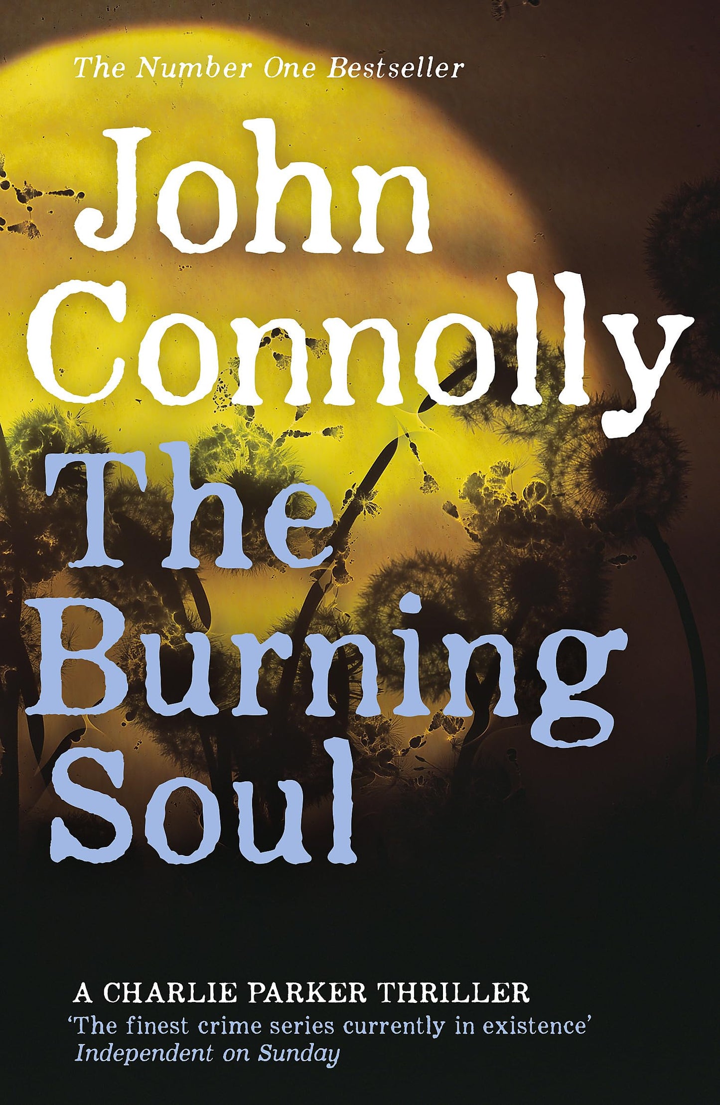 The Burning Soul: Private Investigator Charlie Parker hunts evil in the tenth book in the globally bestselling series [Paperback] Connolly, John