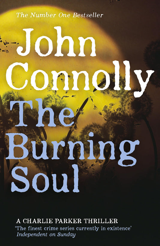 The Burning Soul: Private Investigator Charlie Parker hunts evil in the tenth book in the globally bestselling series [Paperback] Connolly, John