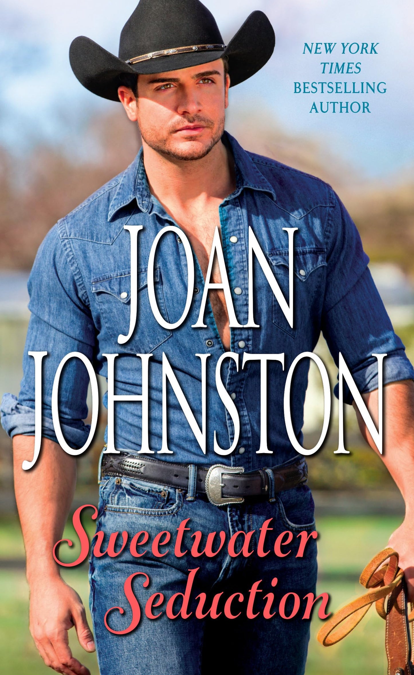 Sweetwater Seduction: A Novel [Mass Market Paperback] Johnston, Joan