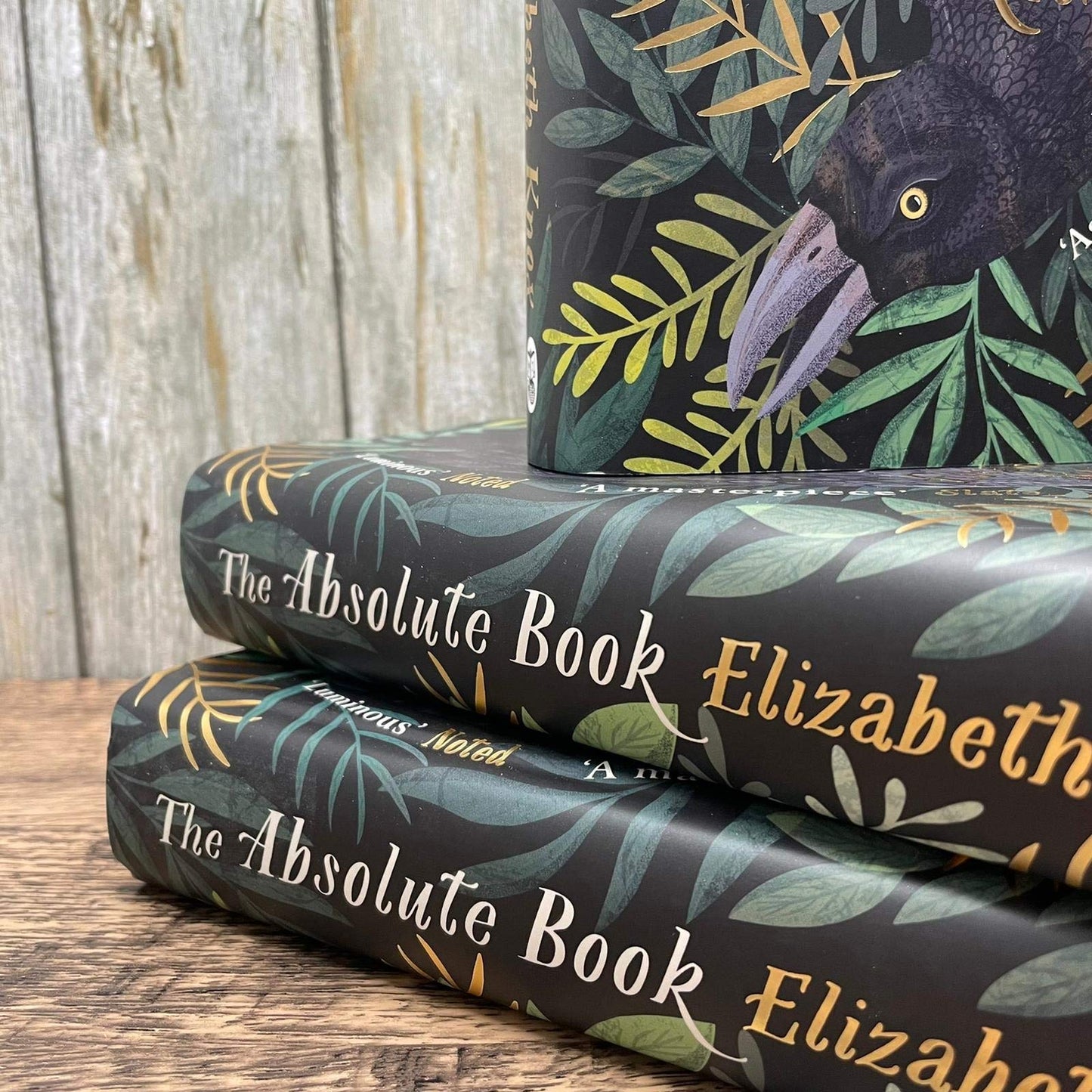 The Absolute Book: 'An INSTANT CLASSIC, to rank [with] masterpieces of fantasy such as HIS DARK MATERIALS or JONATHAN STRANGE AND MR NORRELL' GUARDIAN [Hardcover] Knox, Elizabeth