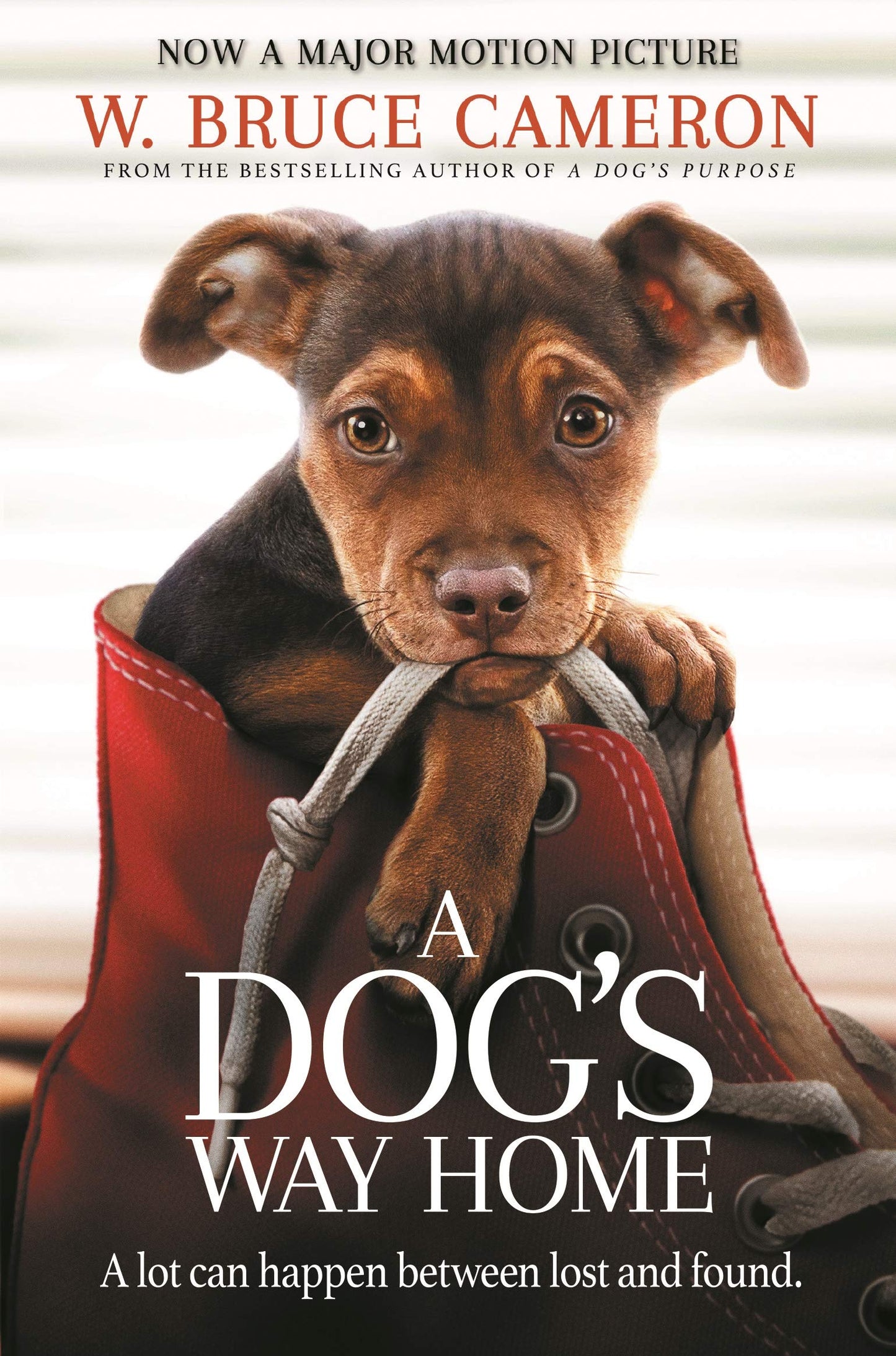 A Dog's Way Home: Film Tie-In