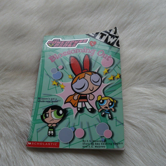 Chapter Book: 4 Rogers, Amy