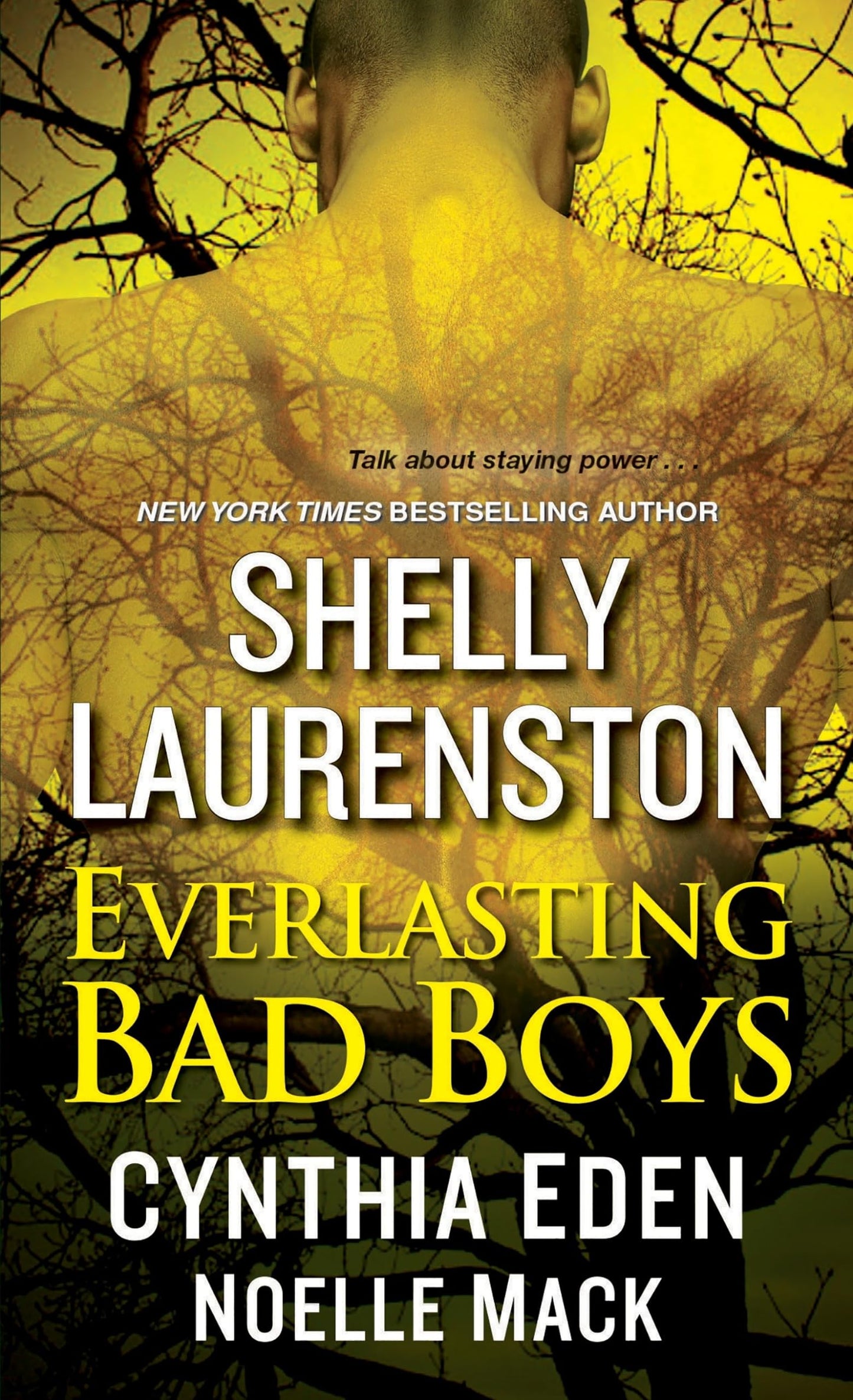 Everlasting Bad Boys [Mass Market Paperback] Laurenston, Shelly; Eden, Cynthia and Mack, Noelle
