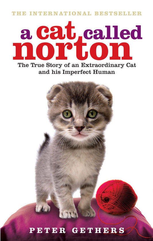 A Cat Called Norton [Paperback] Gethers, Peter