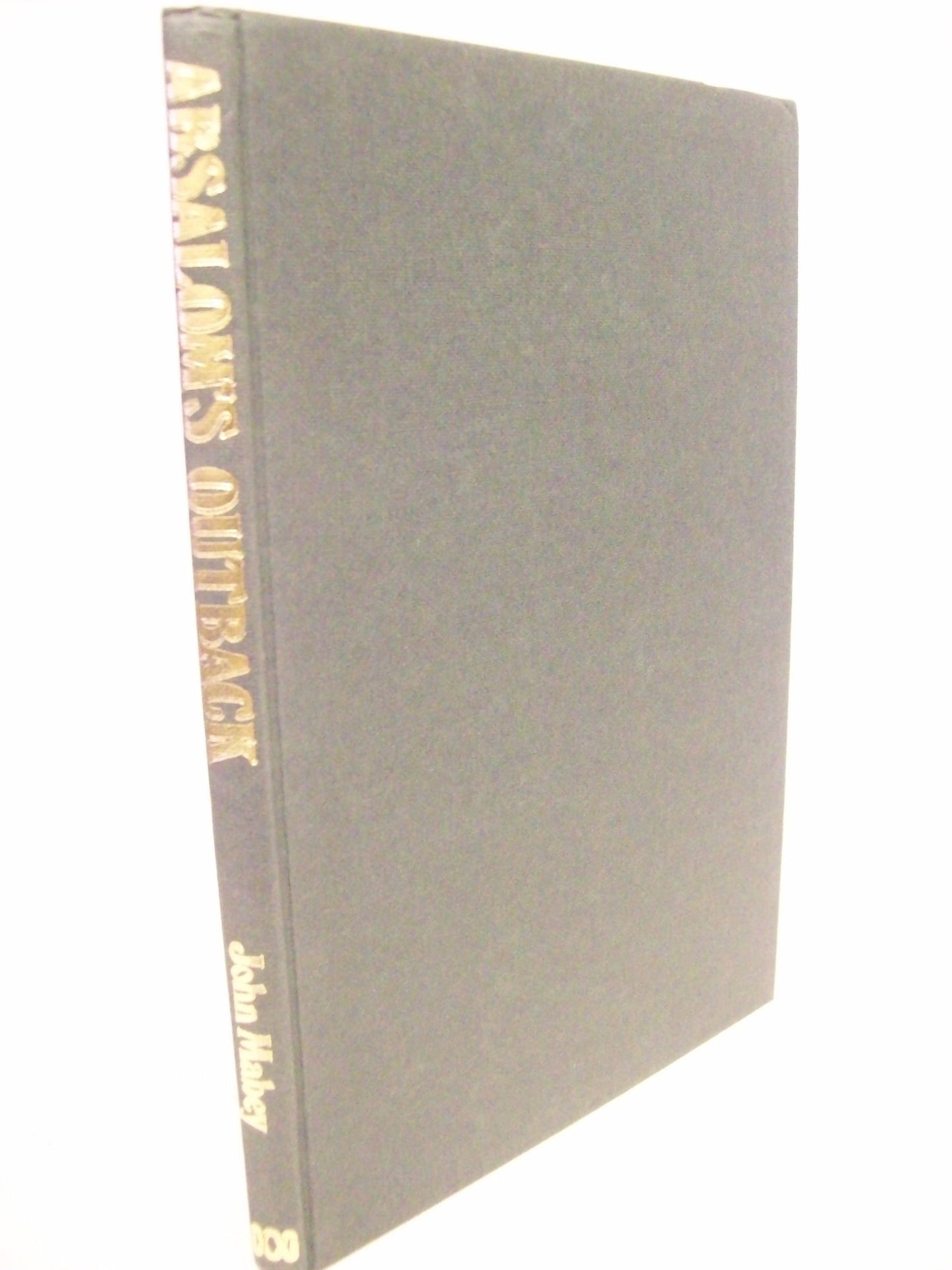 Absalom's Outback [Hardcover] Mabey John