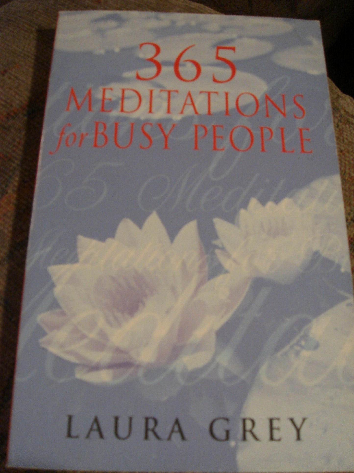 365 Meditations for Busy People