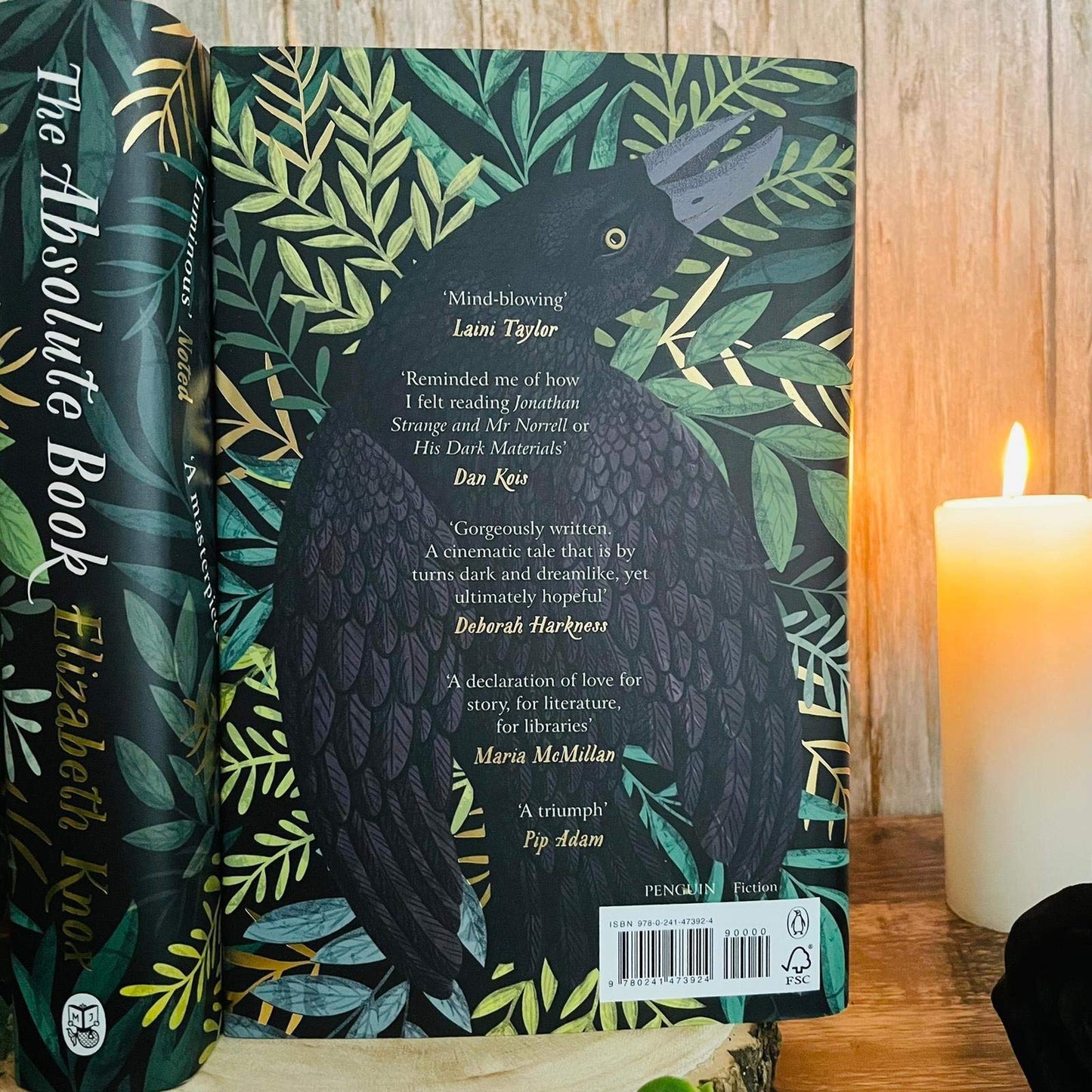 The Absolute Book: 'An INSTANT CLASSIC, to rank [with] masterpieces of fantasy such as HIS DARK MATERIALS or JONATHAN STRANGE AND MR NORRELL' GUARDIAN [Hardcover] Knox, Elizabeth