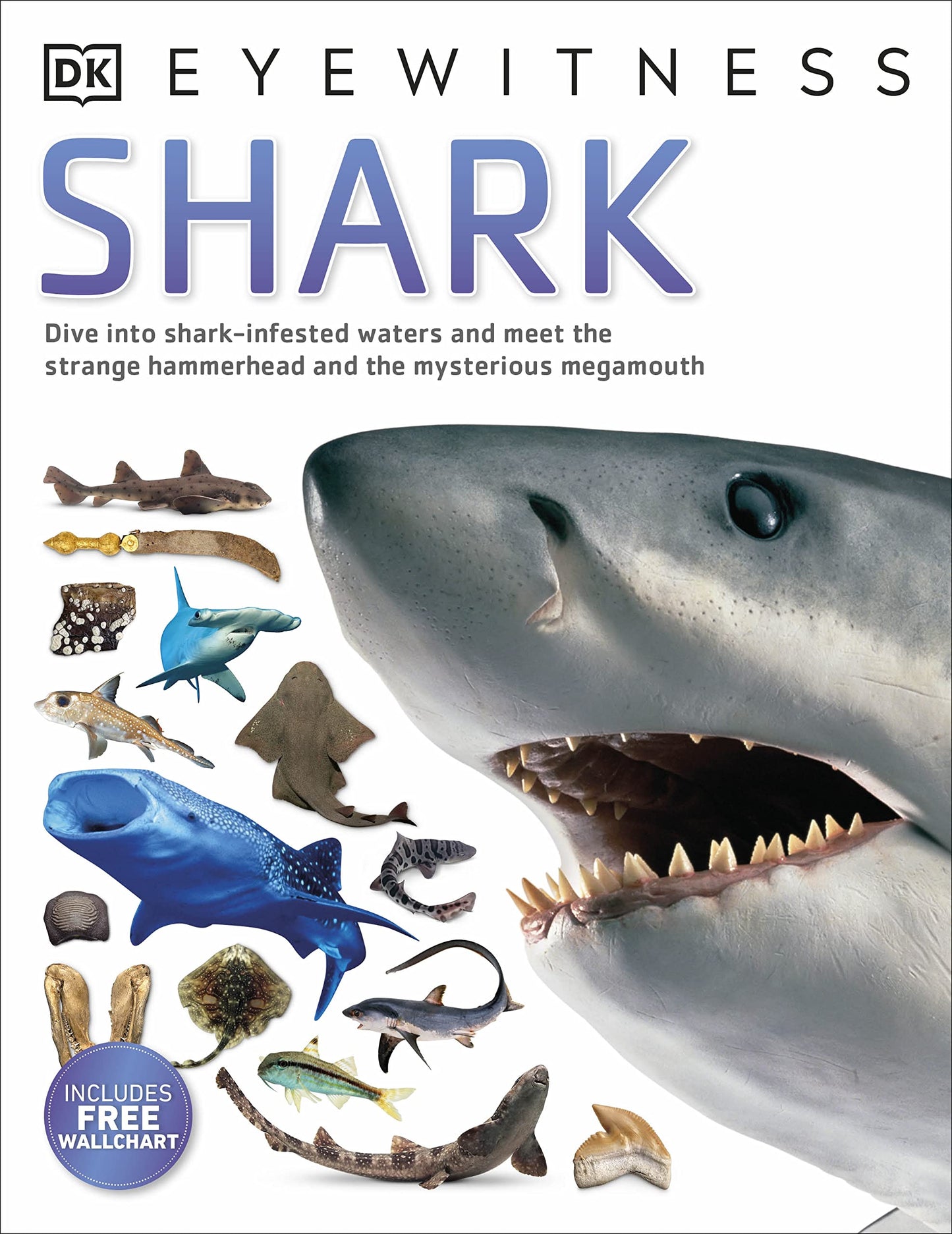 Shark