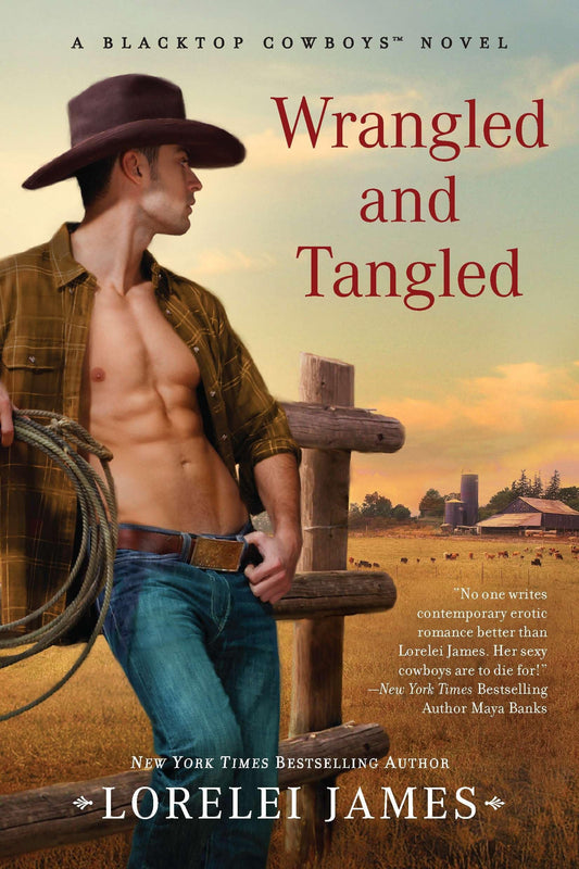 Wrangled and Tangled: 3 [Paperback] James, Lorelei
