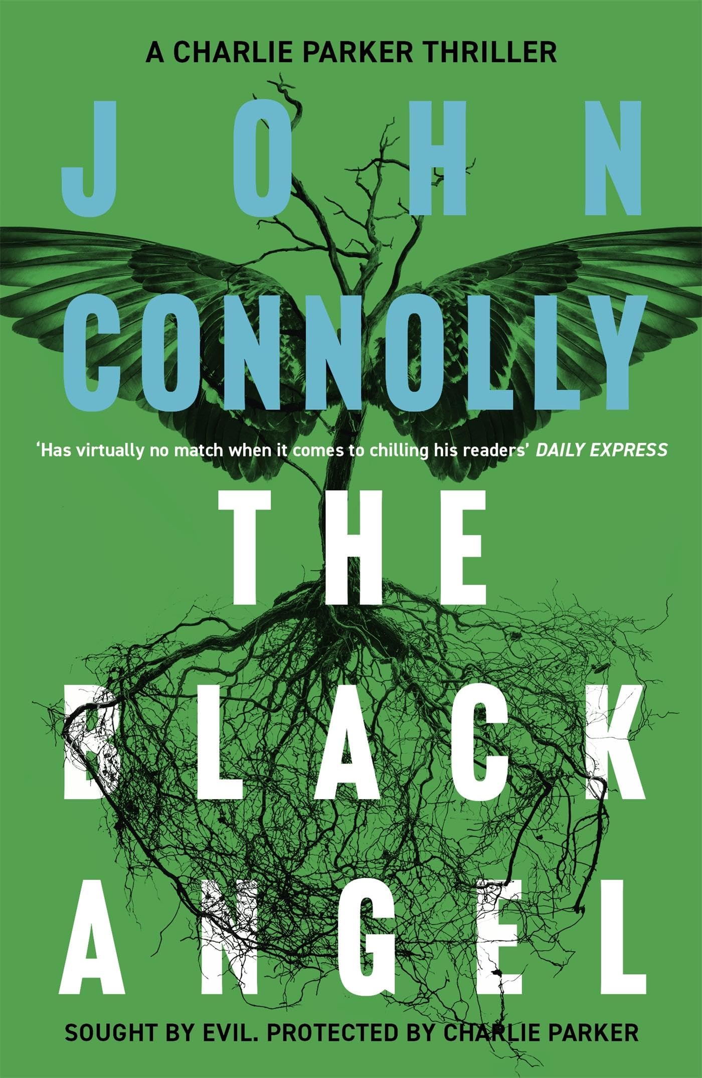The Black Angel: Private Investigator Charlie Parker hunts evil in the fifth book in the globally bestselling series [Paperback] Connolly, John