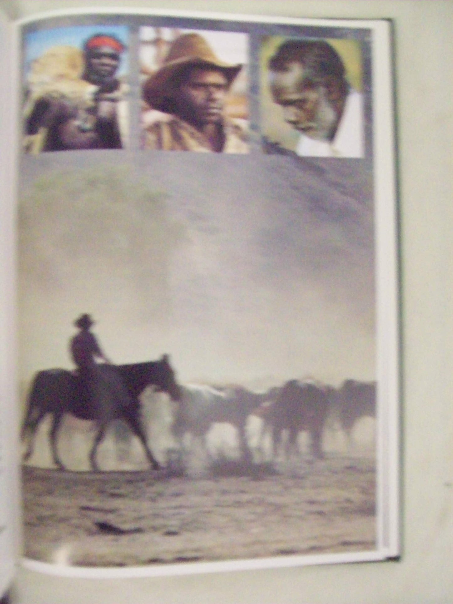 Absalom's Outback [Hardcover] Mabey John