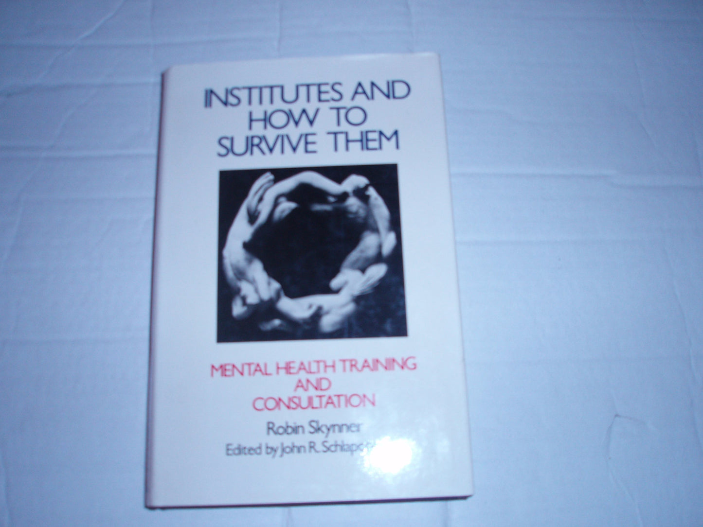 Institutes and How to Survive Them: Mental Health Training and Consultation : Selected Papers Skynner, Robin A. C.