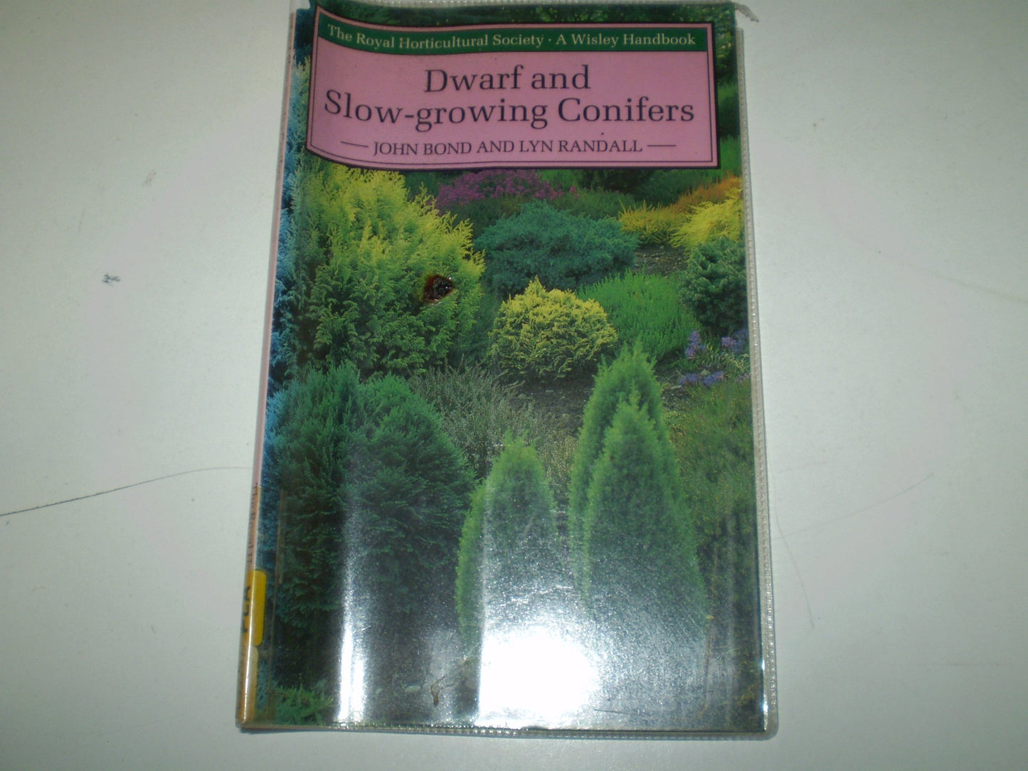 Dwarf and Slow-growing Conifers Bond, John and Randall, Lyn
