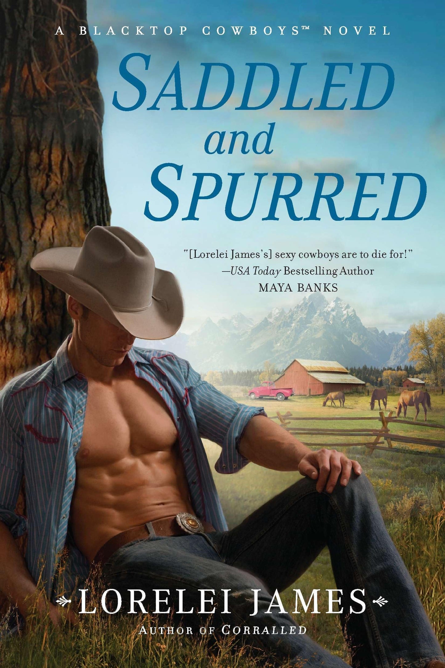 Saddled and Spurred: 2 [Paperback] James, Lorelei