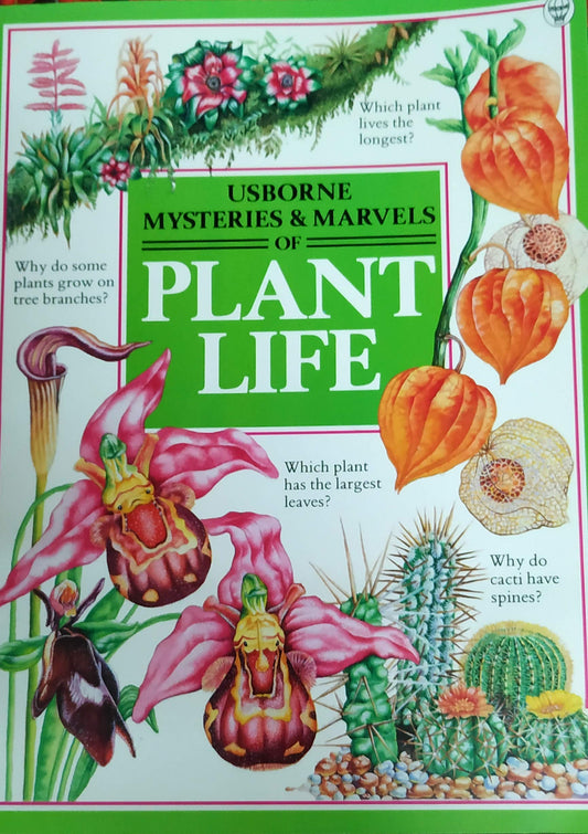 Plant Life Cork, Barbara