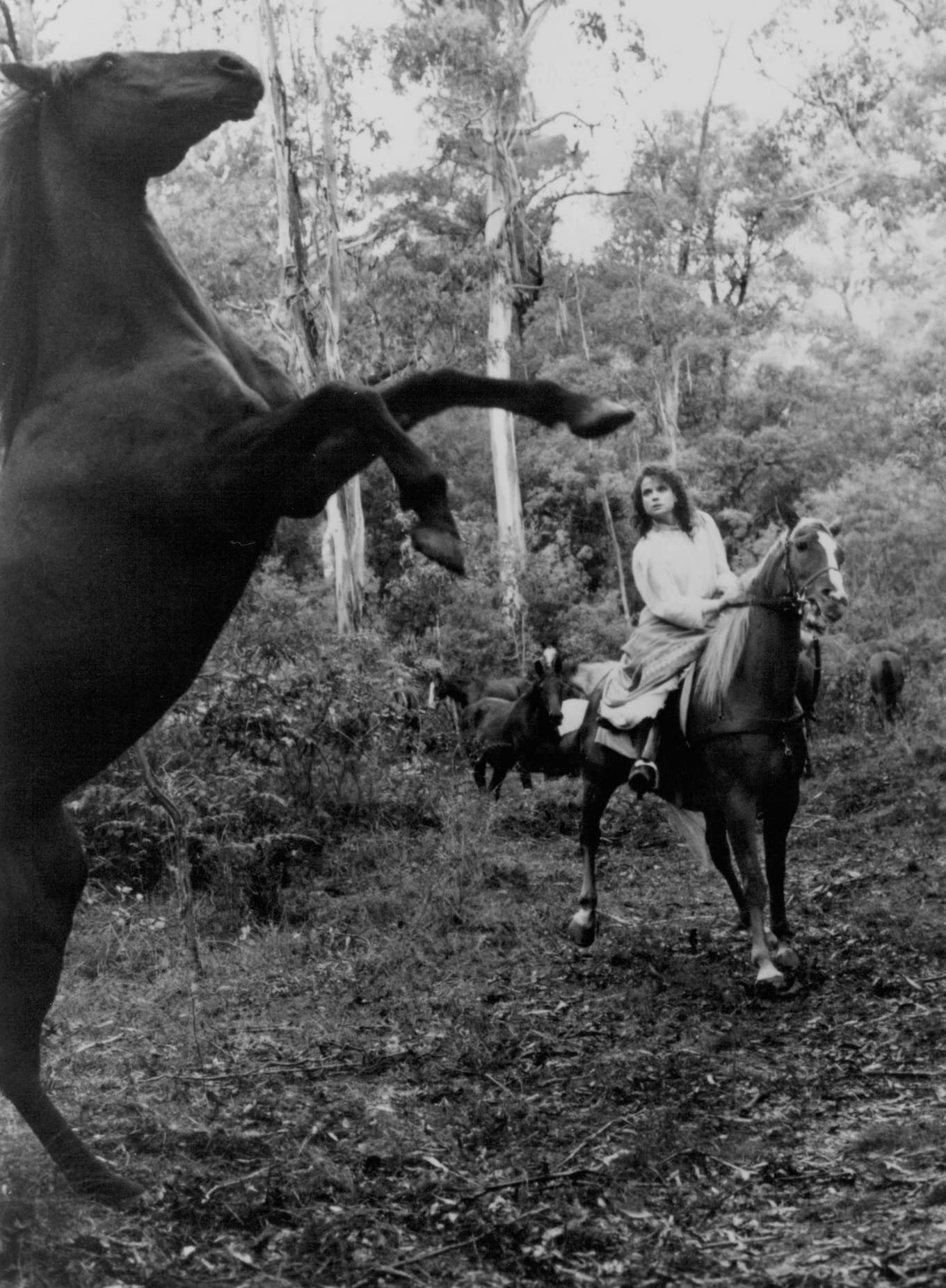 The Man from Snowy River 2 (DVD) [DVD]