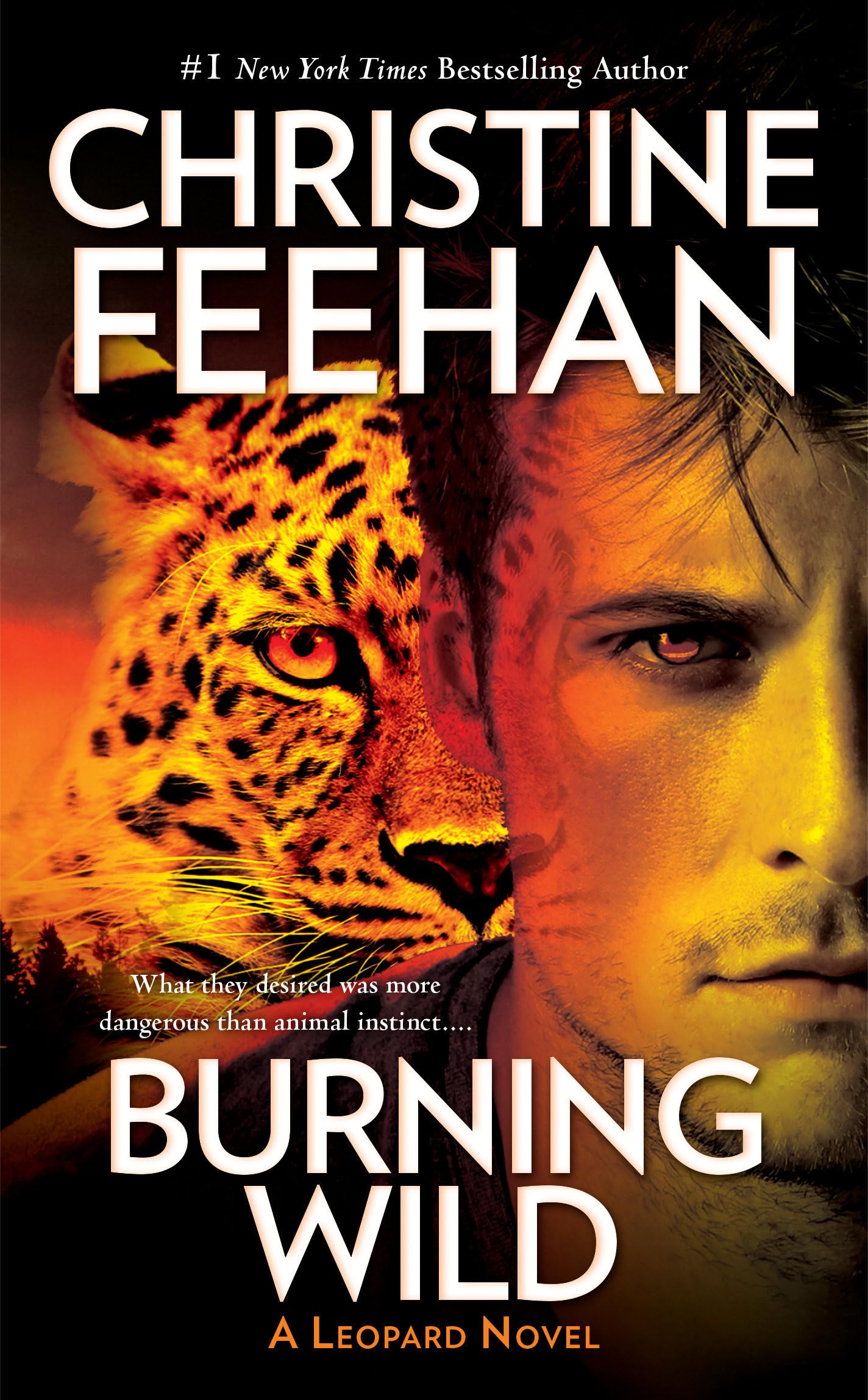 Burning Wild: 3 [Mass Market Paperback] Feehan, Christine