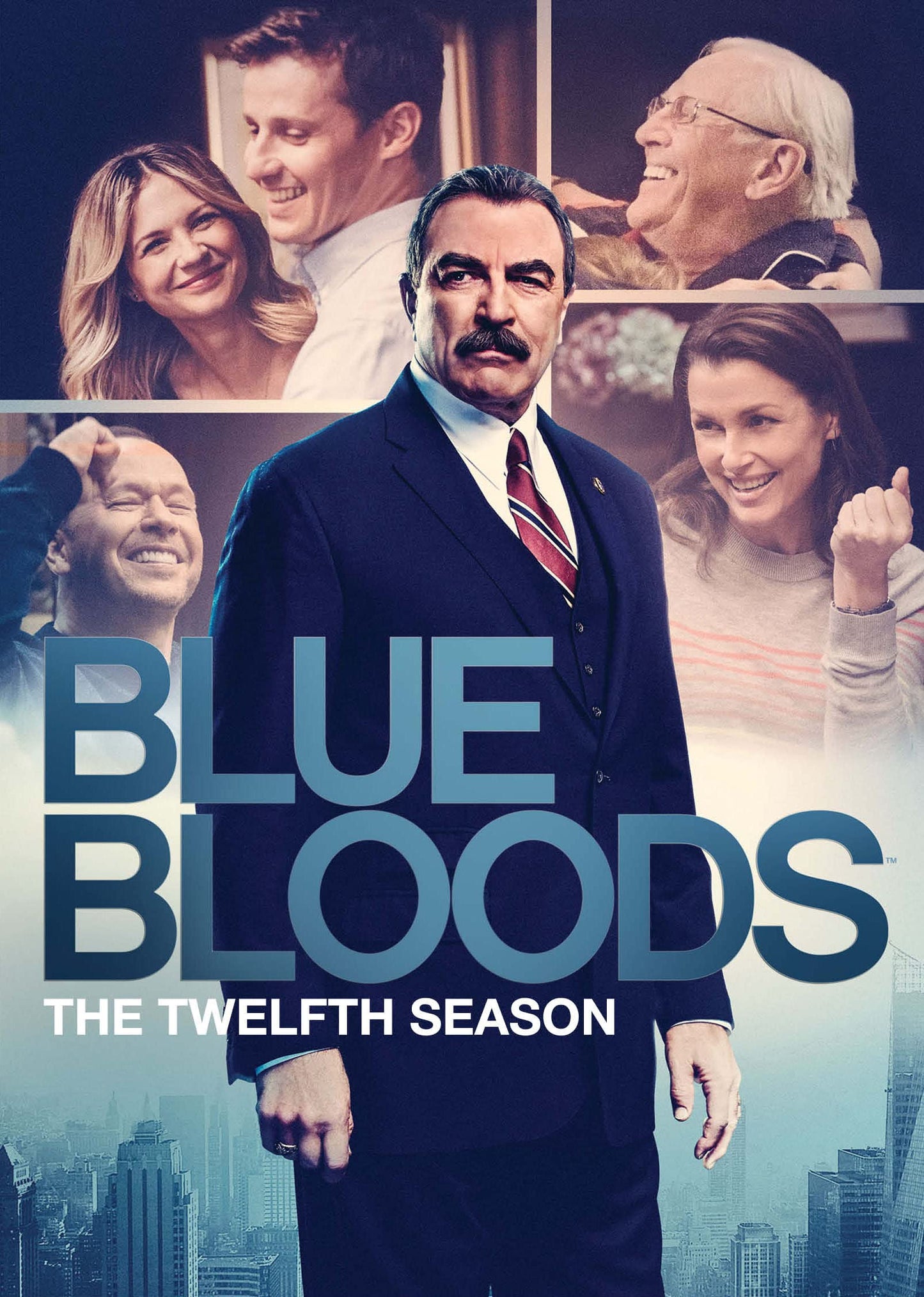 Blue Bloods: The Twelfth Season [DVD]