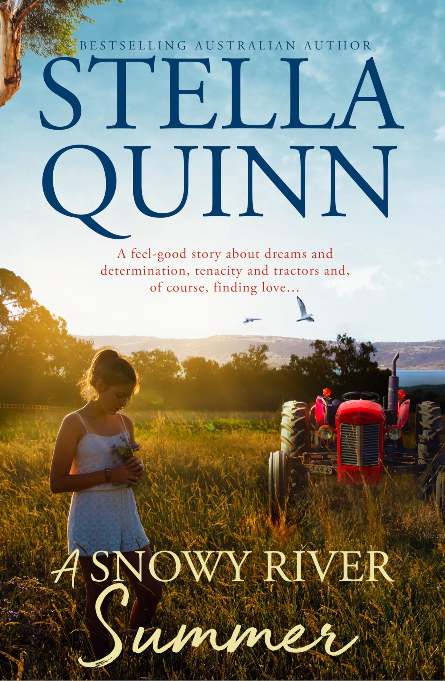 A Snowy River Summer: Fresh, funny and down-to-earth romance for 2025 from a new star of Australian rural romance. Perfect for readers of Rachael Johns and Alissa Callen.