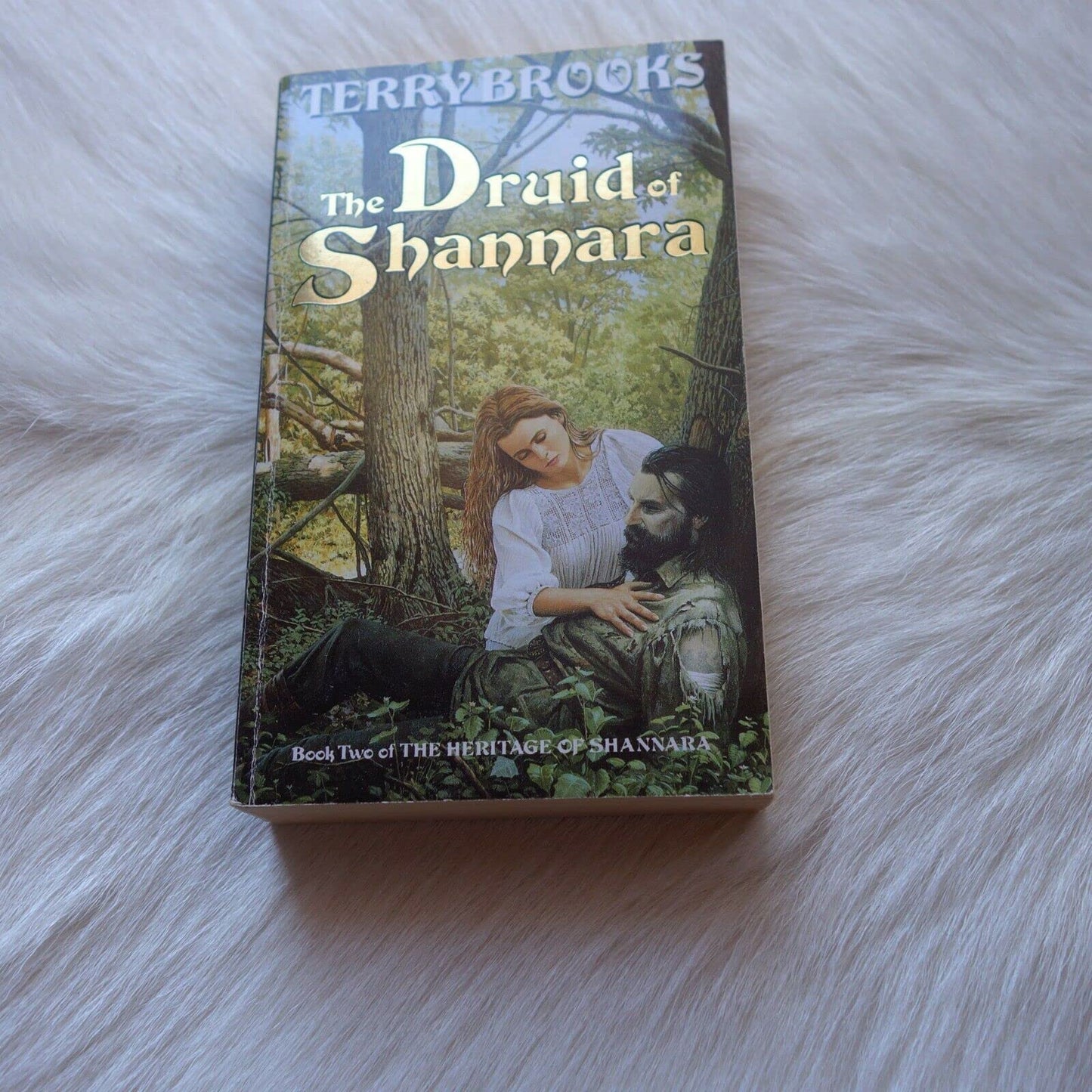 The Druid Of Shannara: The Heritage of Shannara, book 2