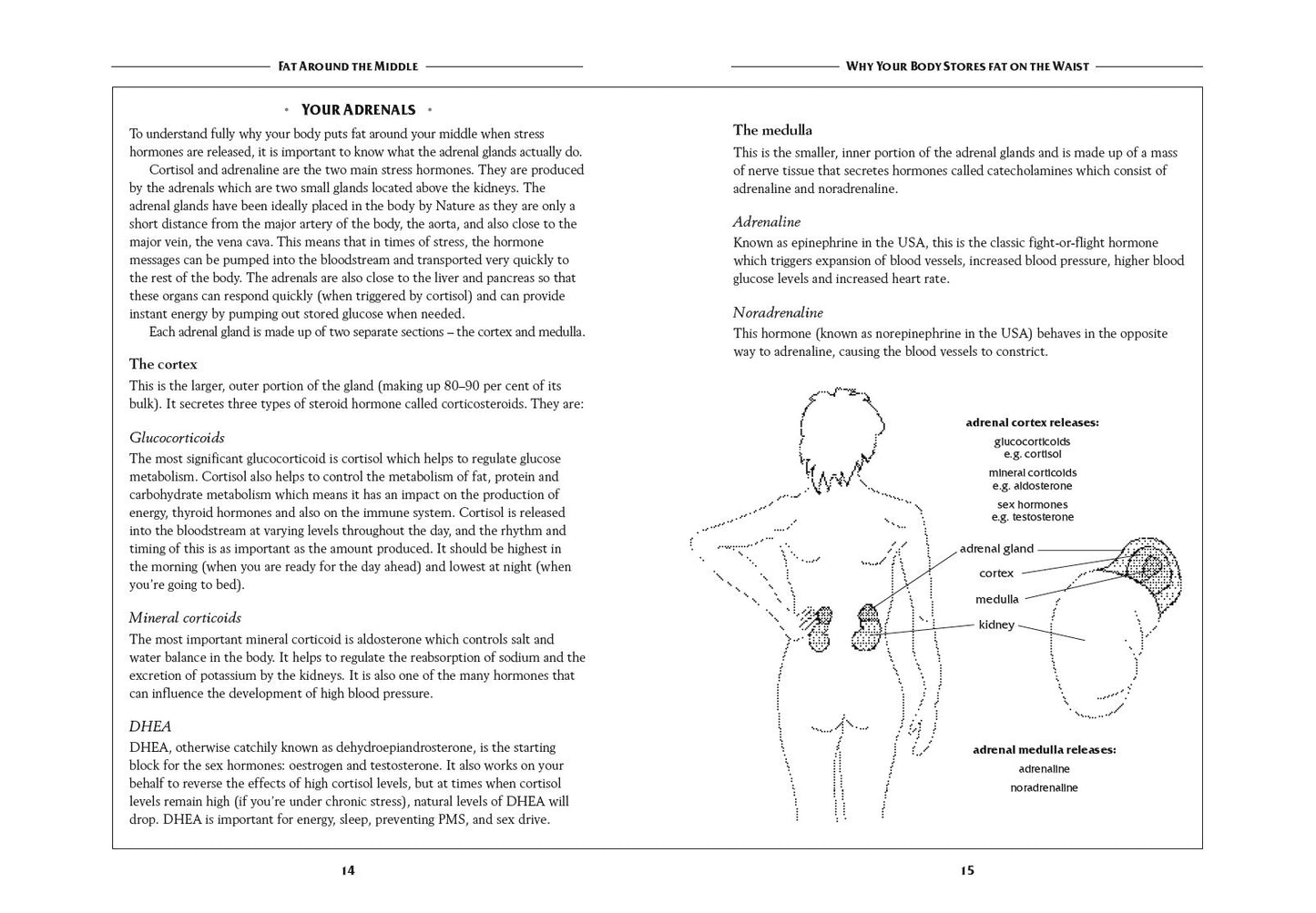 Fat Around the Middle: How To Lose That Buldge For Good and Why It's Not Glenville, Marilyn