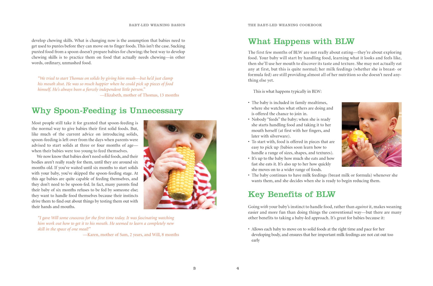 The Baby-Led Weaning Cookbook: Delicious Recipes That Will Help Your Baby Learn to Eat Solid Foods--And That the Whole Family Will Enjoy [Paperback] Murkett, Tracey and Rapley, Gill