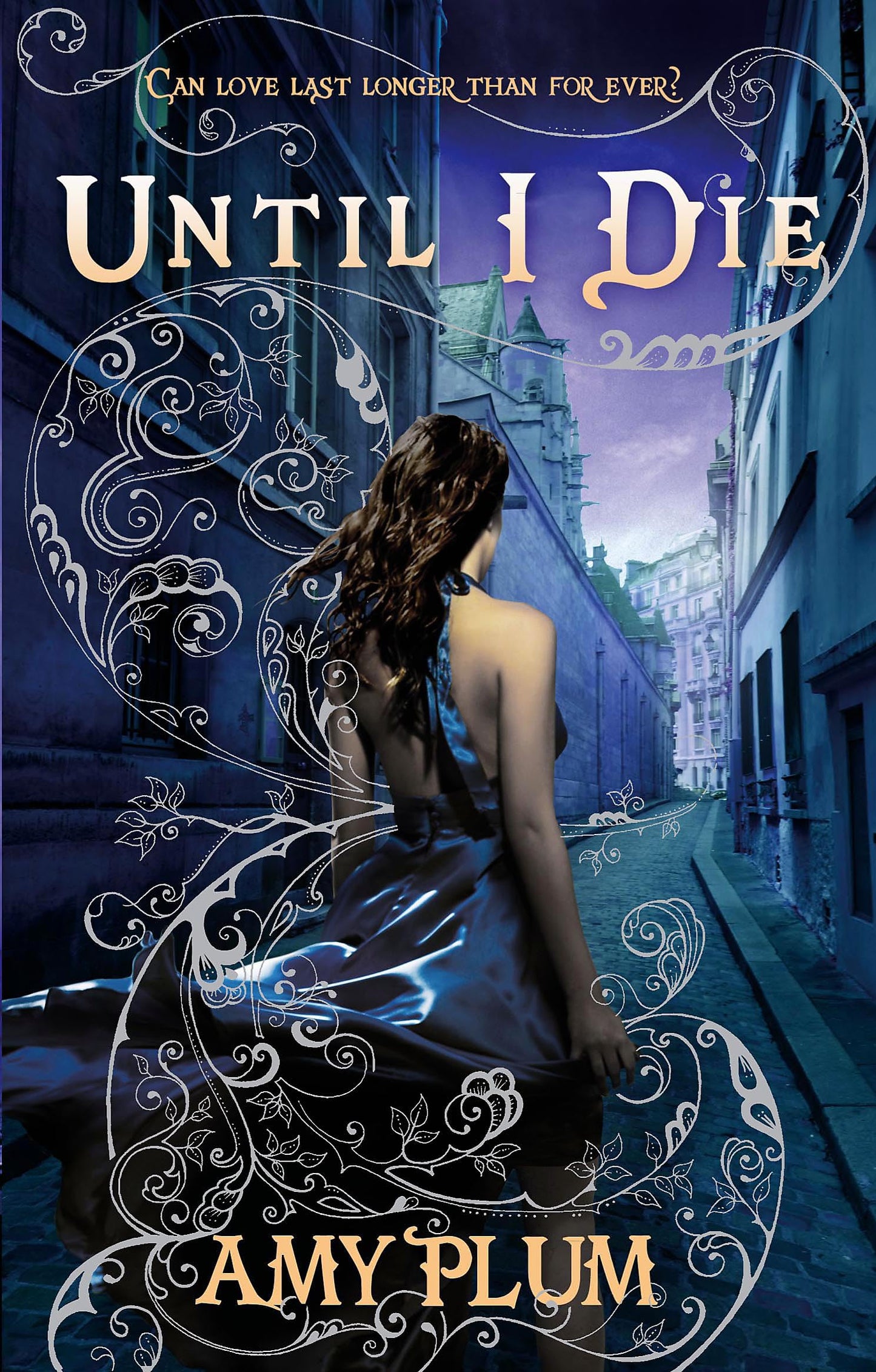 Until I Die: Number 2 in series [Paperback] Plum, Amy