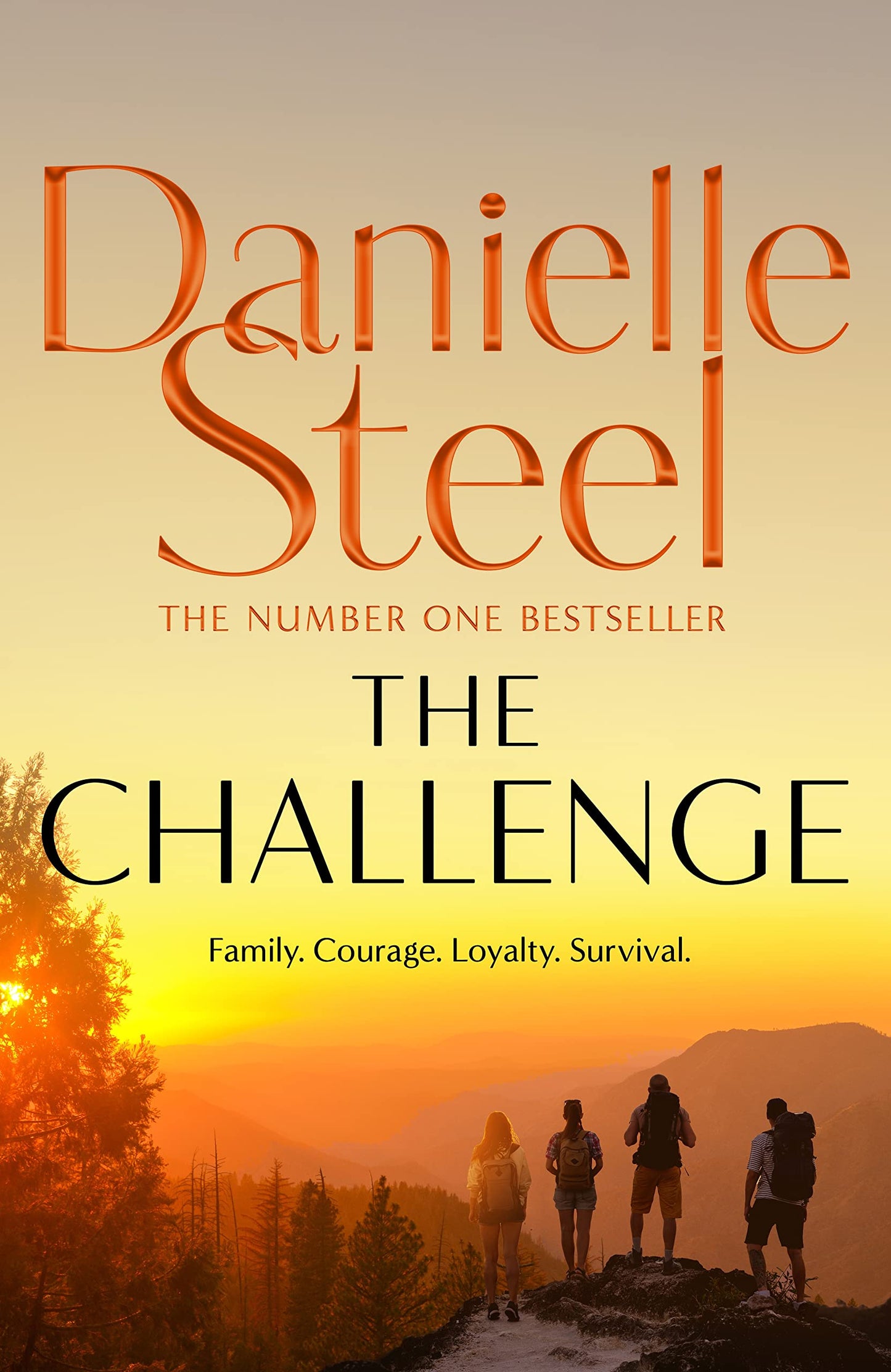 The Challenge [Paperback] Steel, Danielle