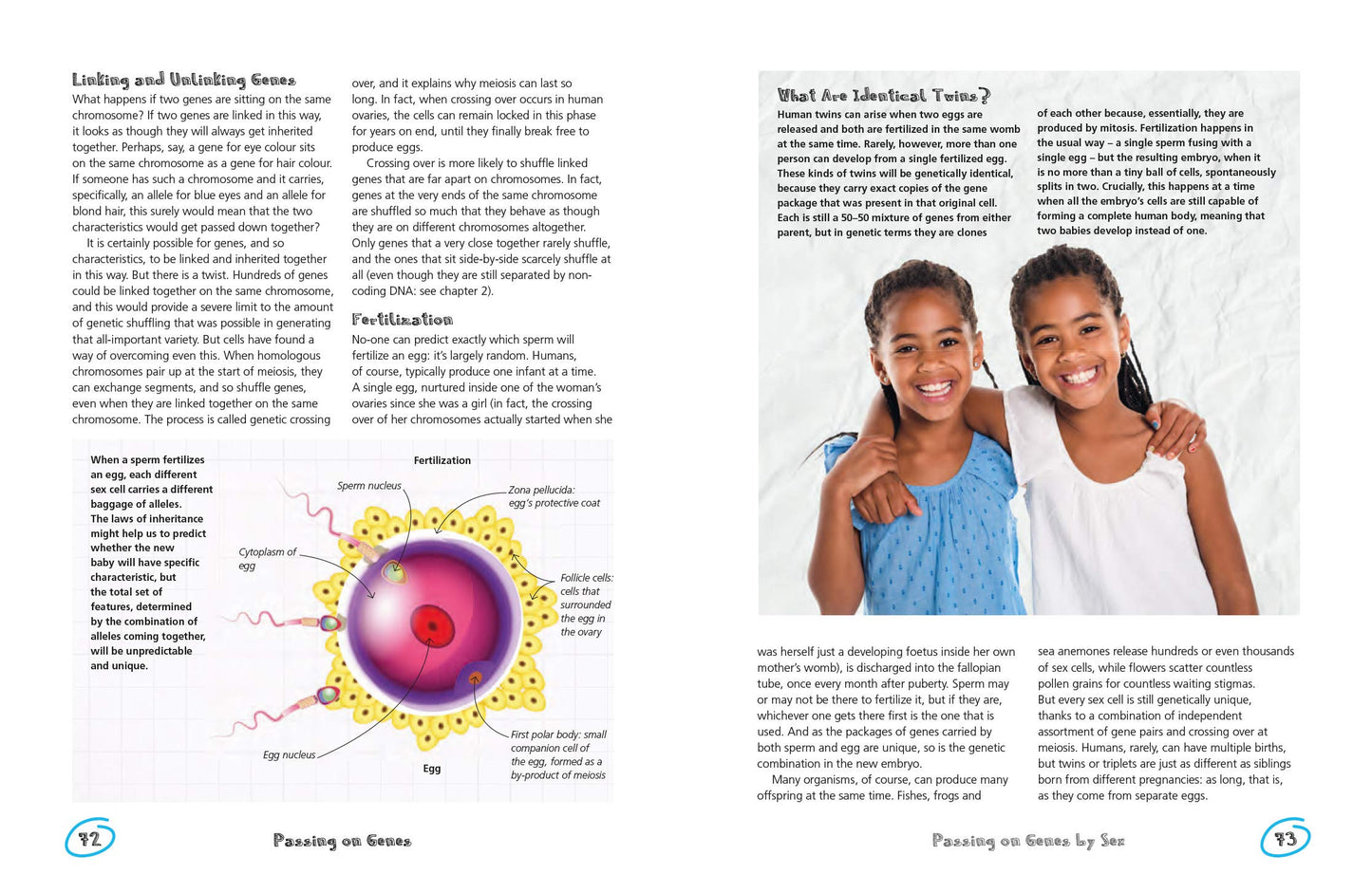 The Secret Life of Genes