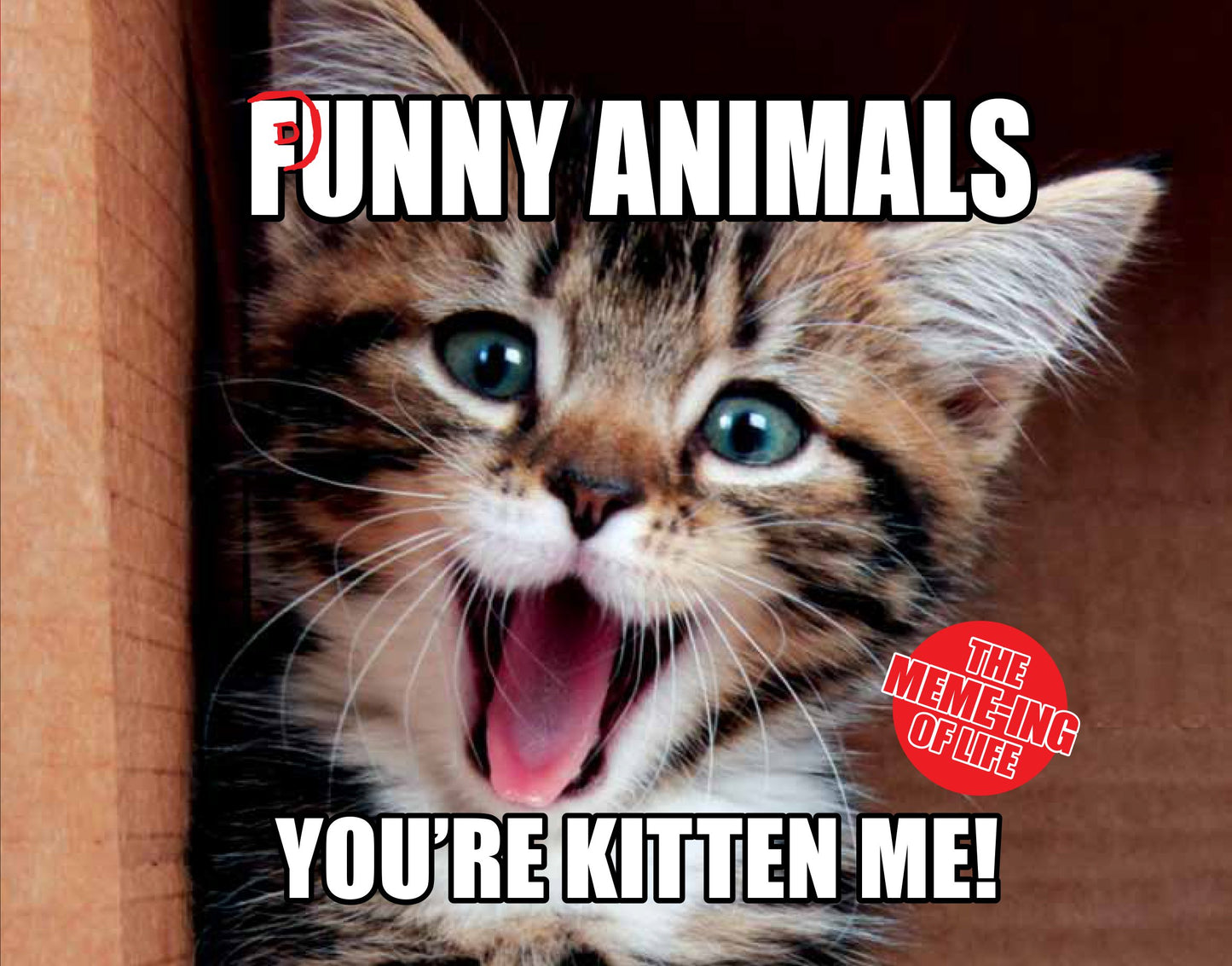 The Punny Animals : The Meme-Ing of Life - You're Kitten Me! [Hardcover] Hardie Grant Children's Publishing