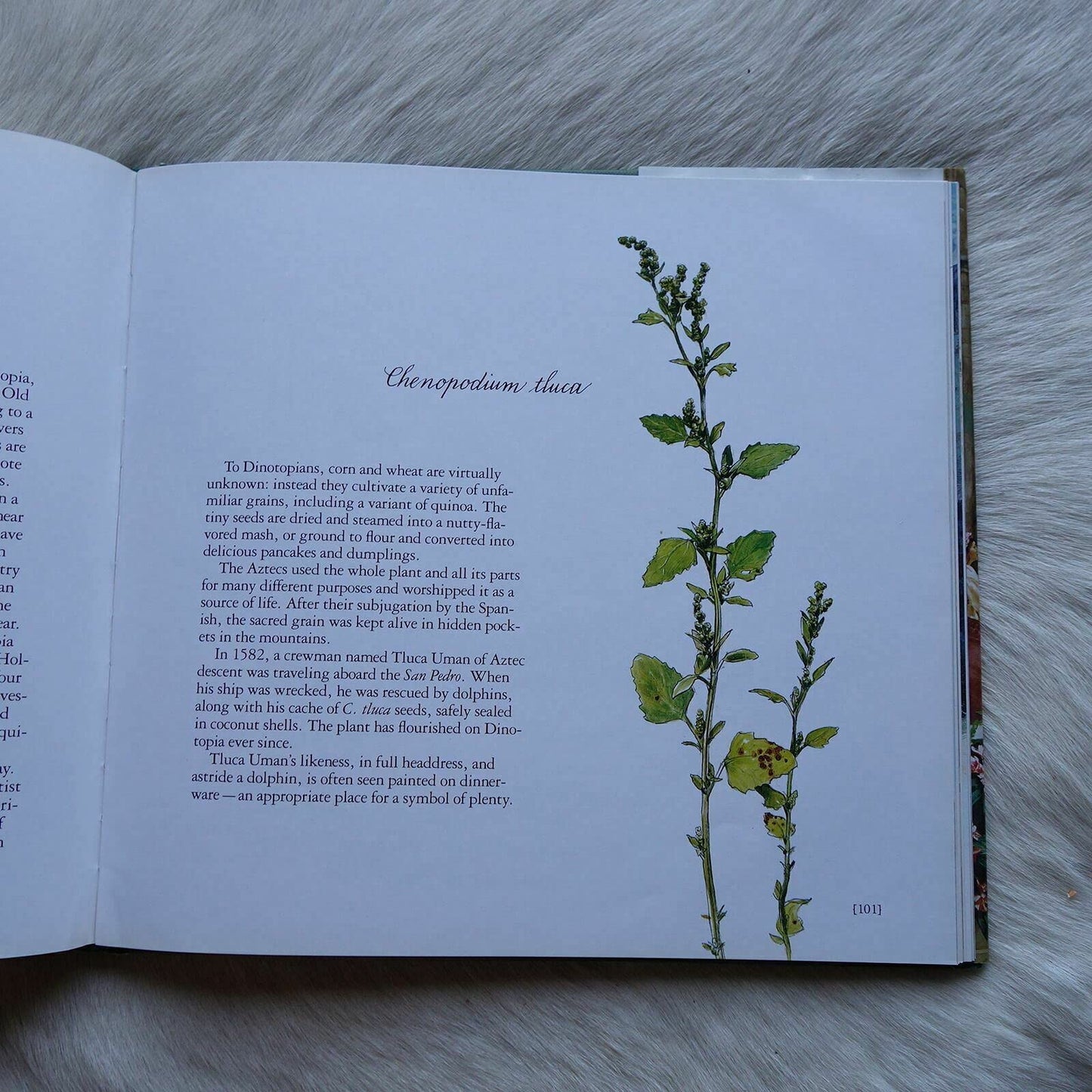 Dinotopia: A Land apart from Time [Hardcover] Gurney, James