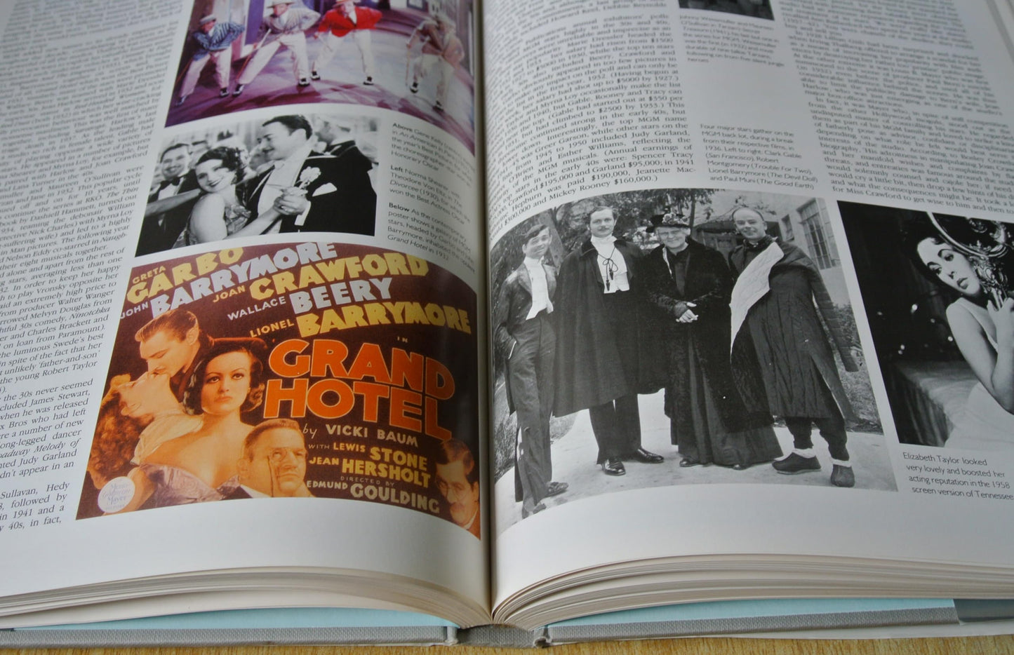 The Hollywood Story Finler, Joel W.