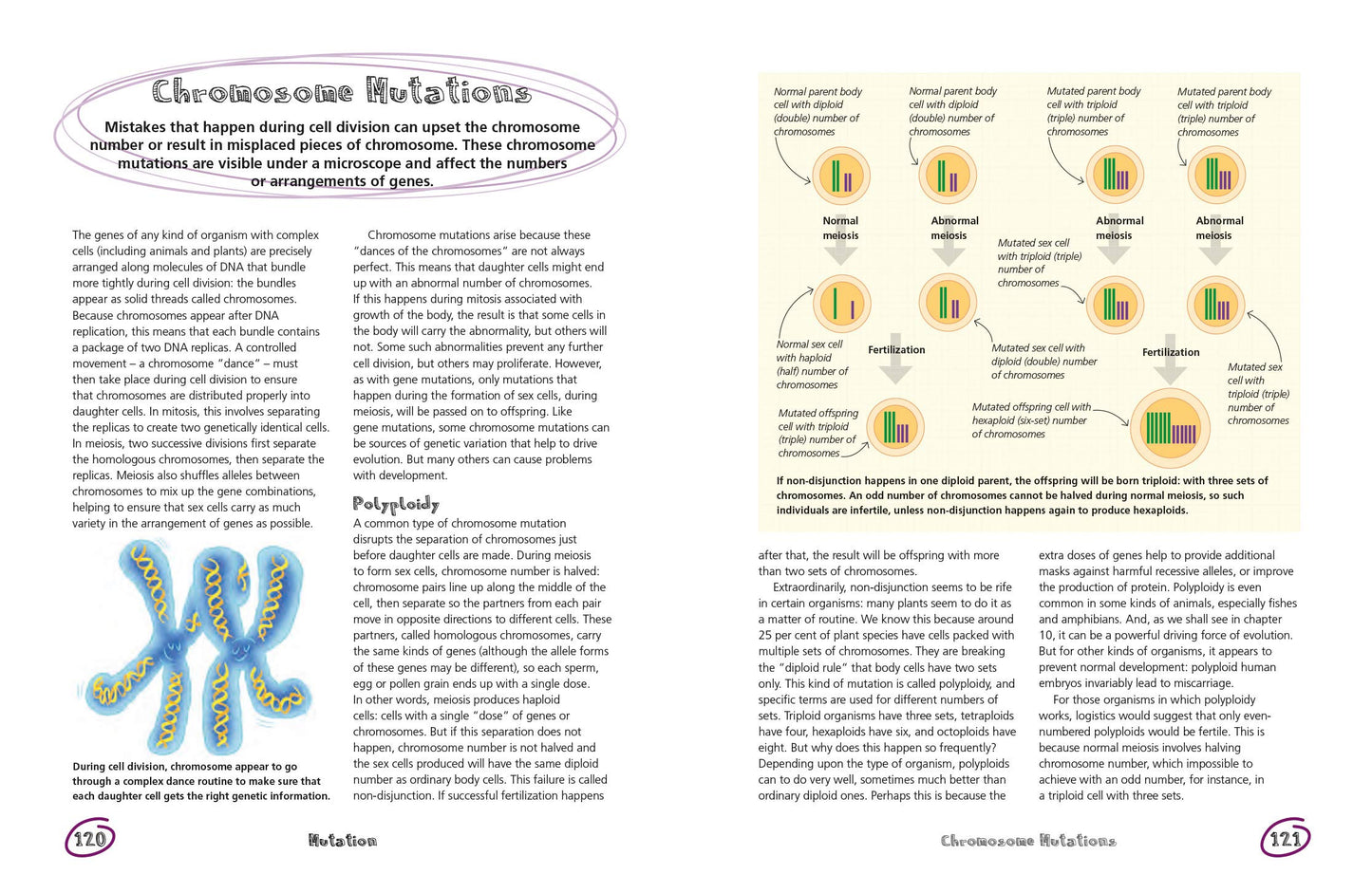 The Secret Life of Genes