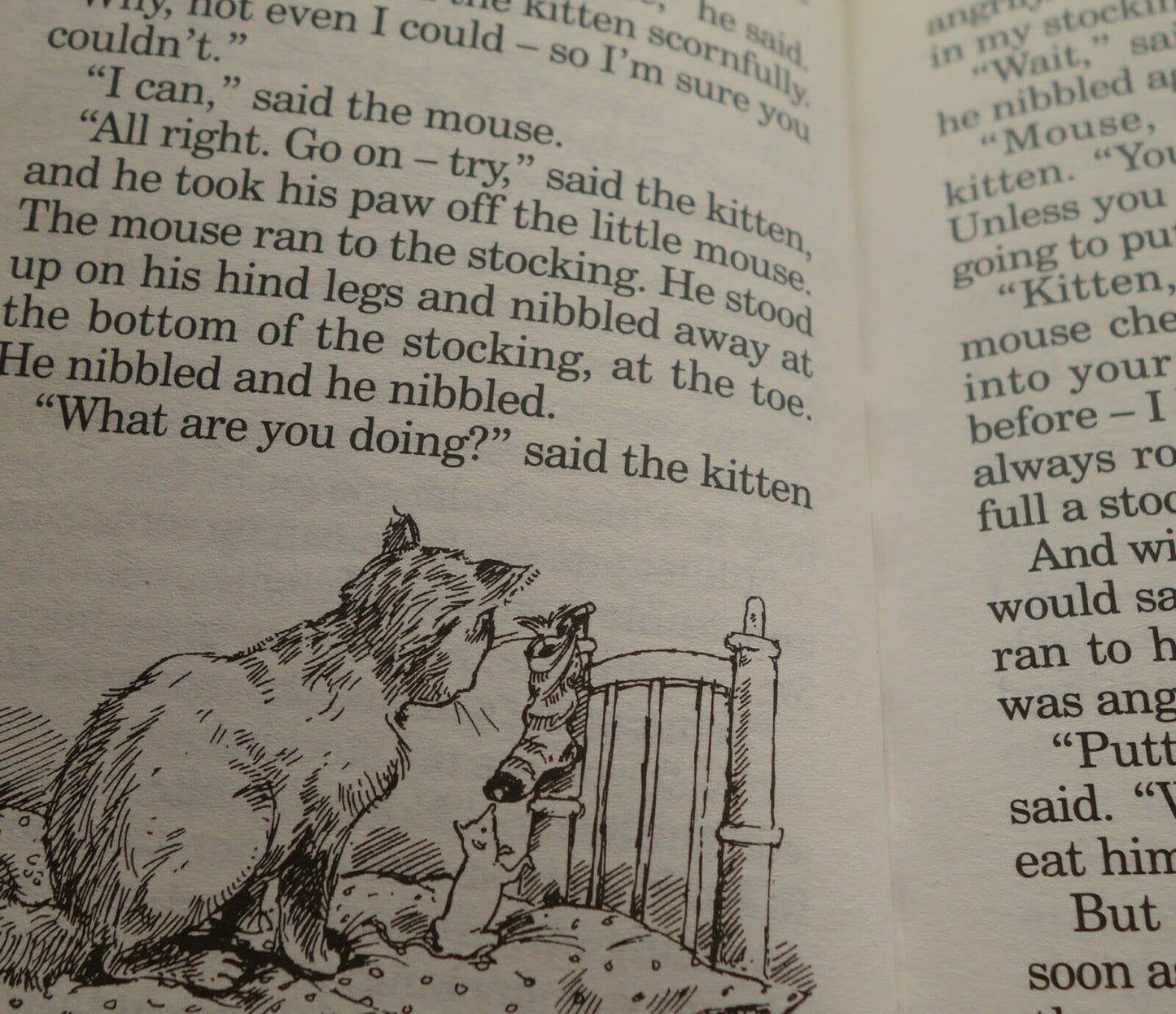 Popular Reward: the Donkey on the Sands Blyton, Enid and Bradley, Maureen