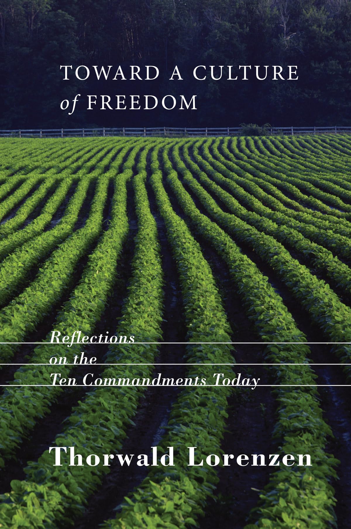 Toward a Culture of Freedom: Reflections on the Ten Commandments Today [Paperback] Lorenzen, Thorwald