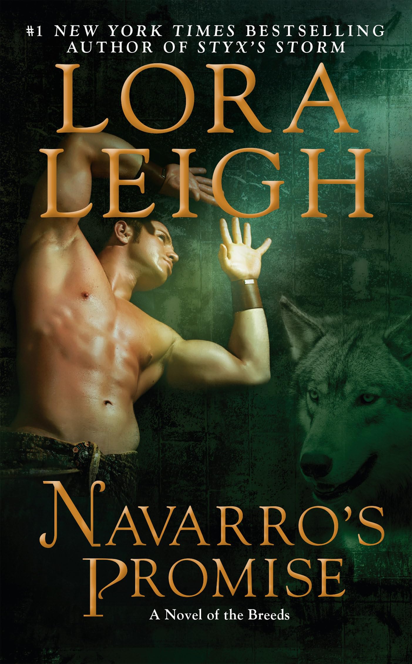 Navarro's Promise: A Novel of the Breeds: 24 [Mass Market Paperback] Leigh, Lora