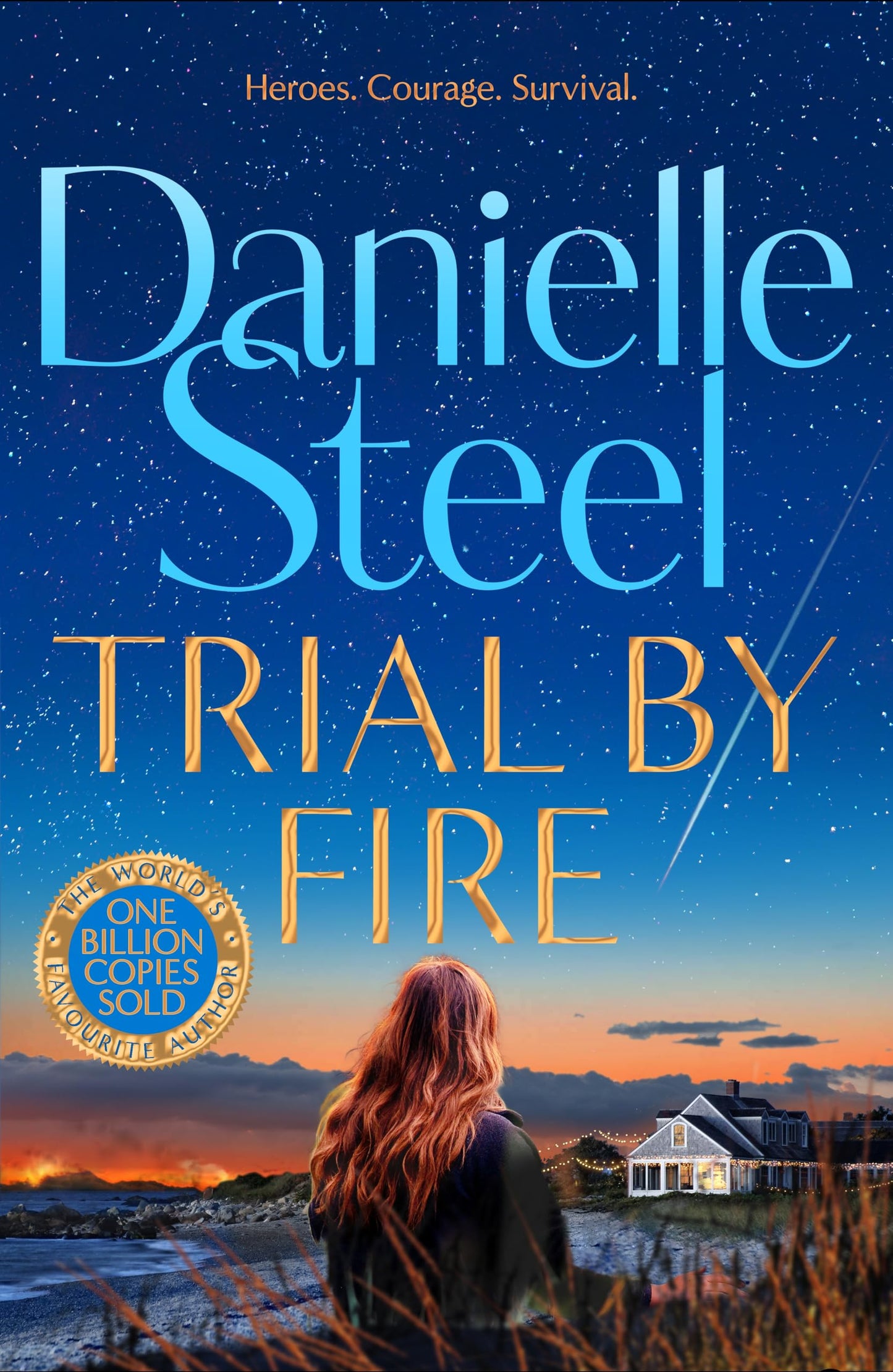 Trial by Fire [Paperback] Steel, Danielle