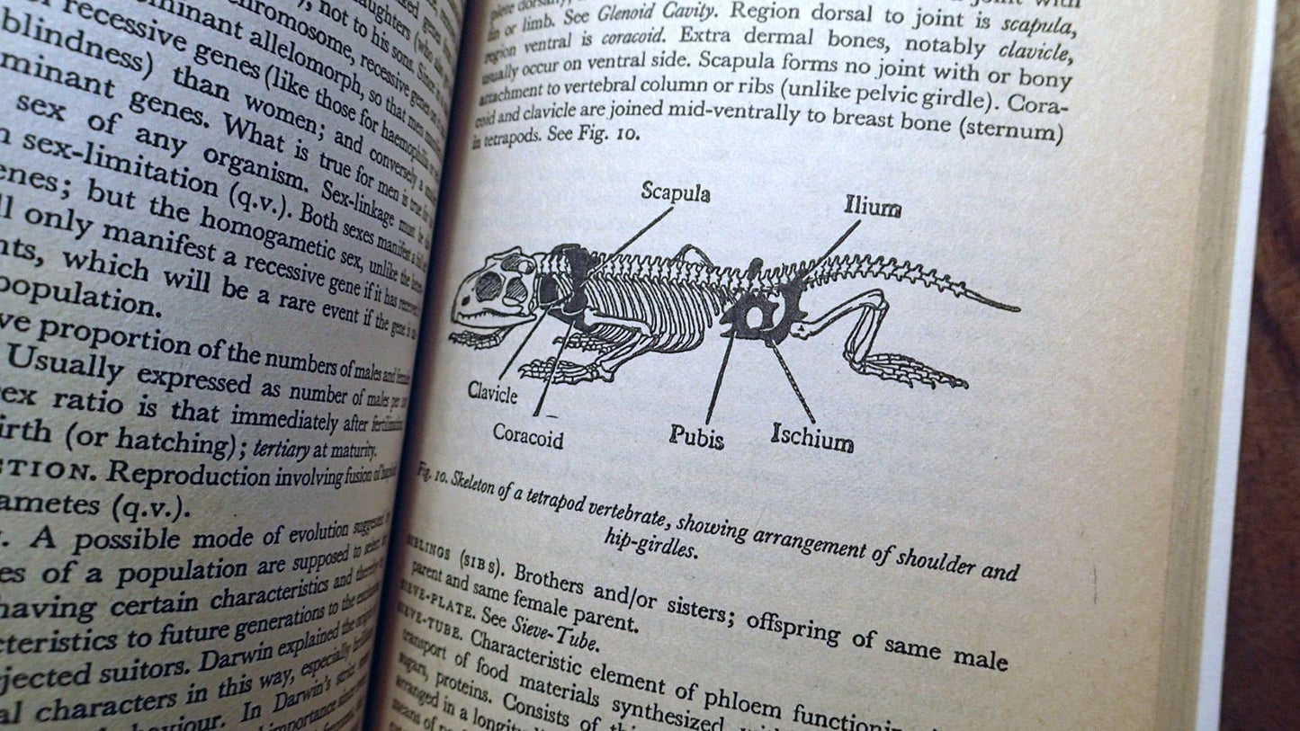 The Penguin Dictionary of Biology: 7th Ed.
