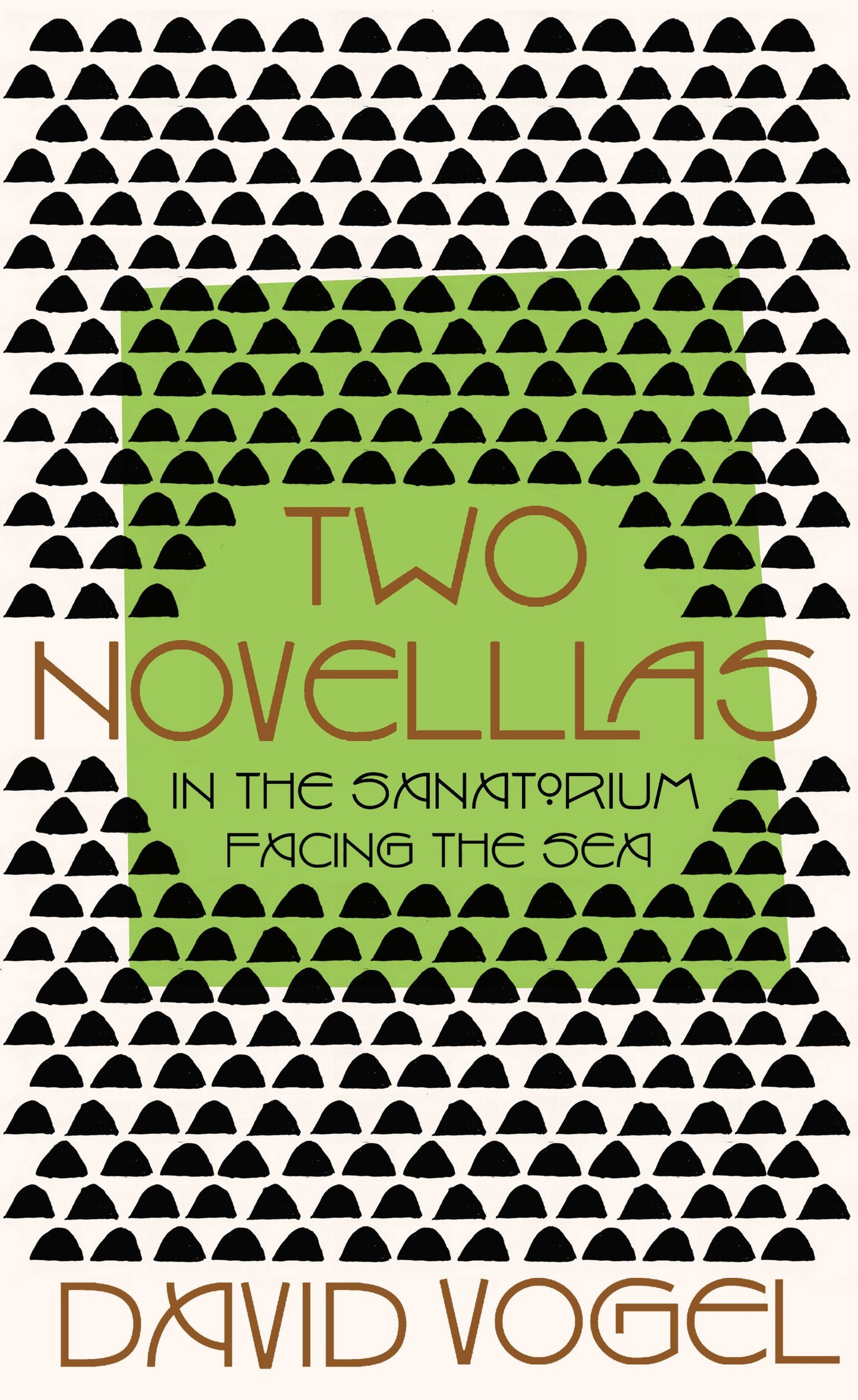 Two Novellas: In the Sanatorium & Facing the Sea [Hardcover] Vogel, David
