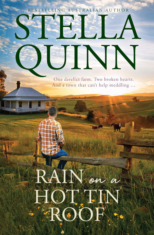 Rain on a Hot Tin Roof: A single dad and a town of matchmakers, 2026's funny new romance, perfect for readers of Karly Lane, from an award-winning and bestseller author