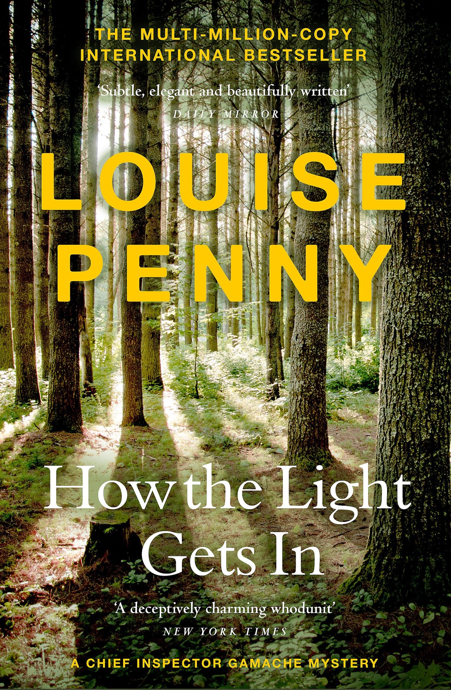 How The Light Gets In: thrilling and page-turning crime fiction from the author of the bestselling Inspector Gamache novels [Paperback] Penny, Louise