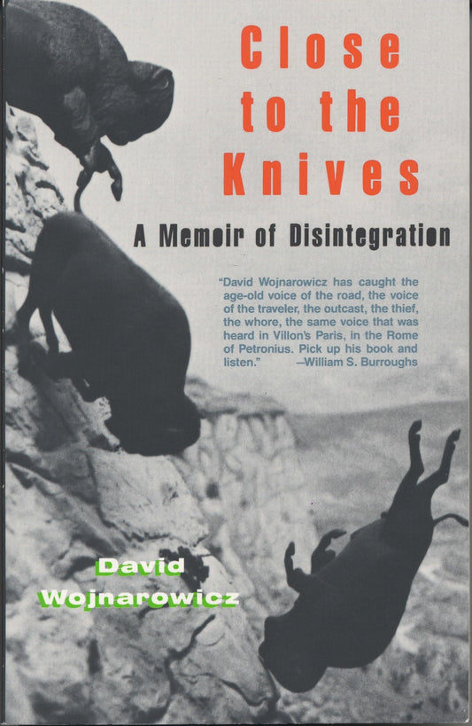 Close to the Knives: A Memoir of Disintegration Wojnarowicz, David