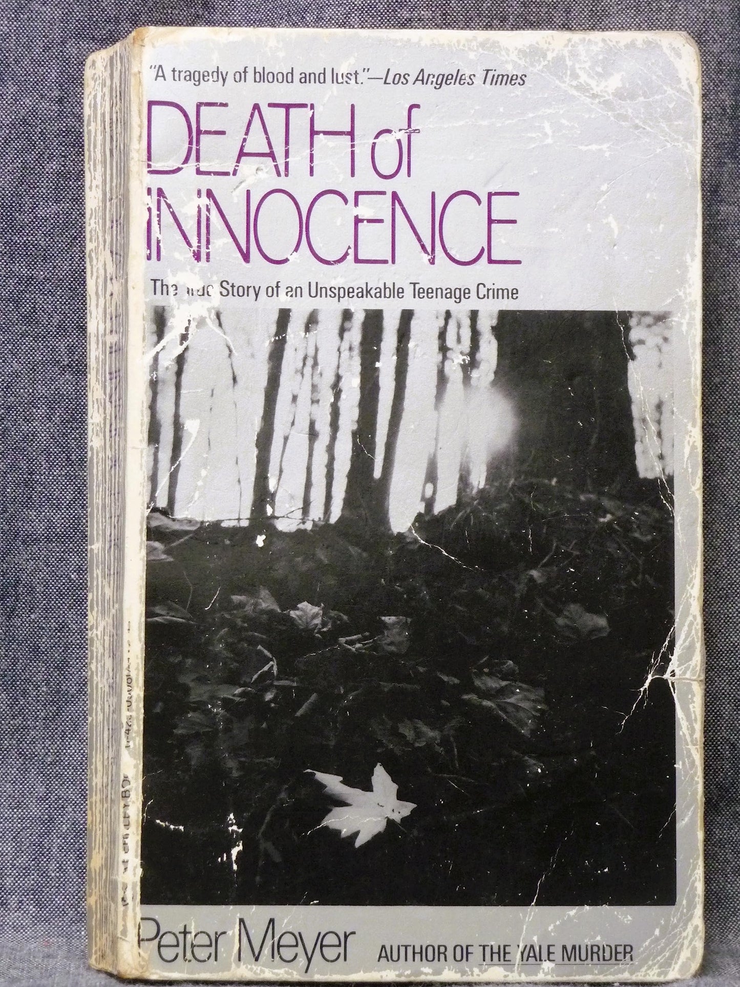 Death of Innocence: The True Story of an Unspeakable Teenage Crime by Peter Meyer (1986-07-01)