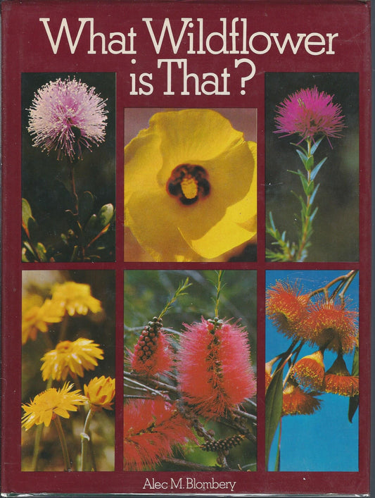 What Wildflower Is That