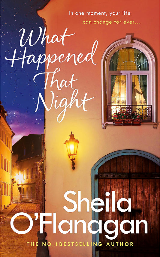 What Happened That Night [Paperback] O'Flanagan, Sheila