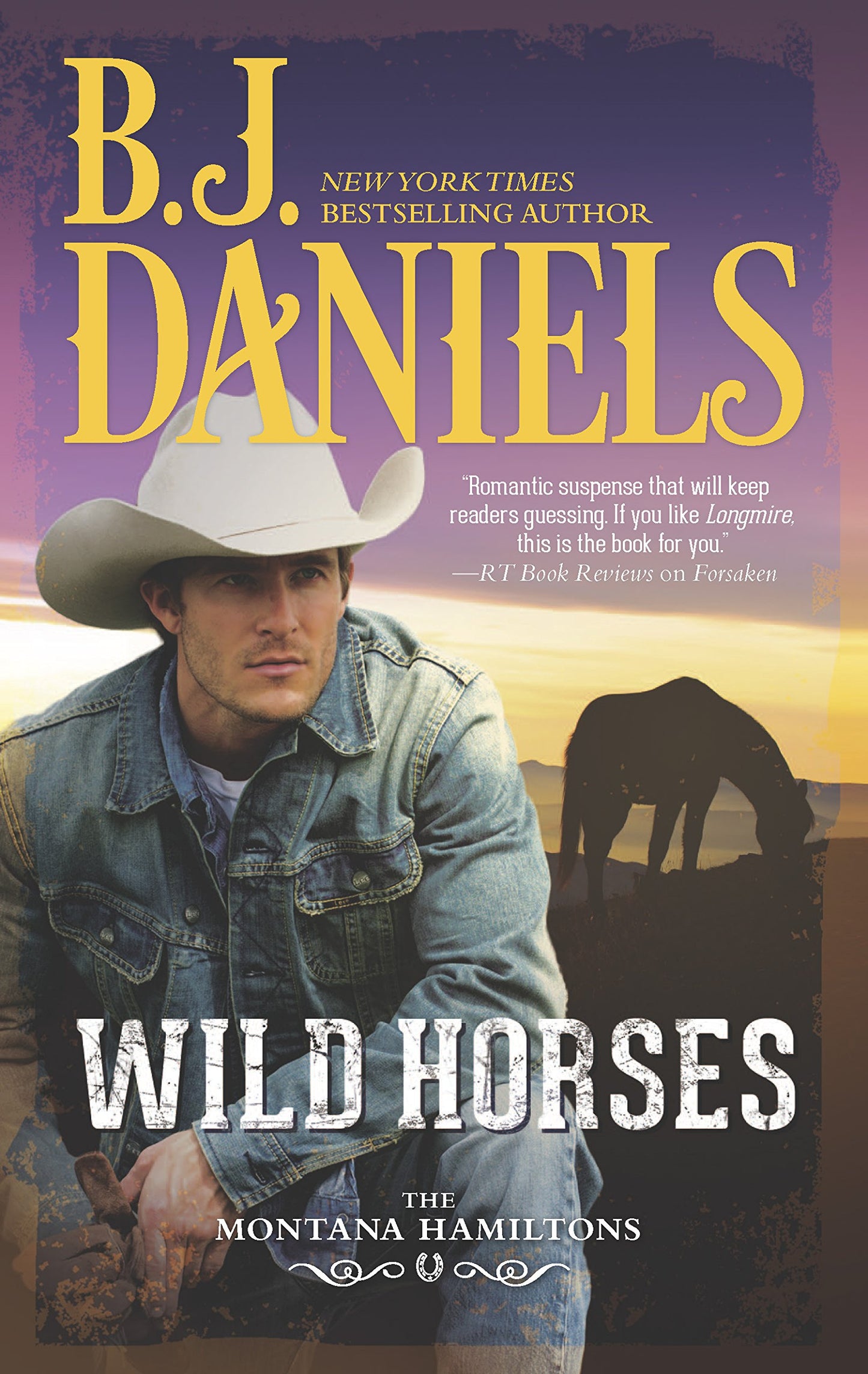 Wild Horses: 1 [Mass Market Paperback] Daniels, B J