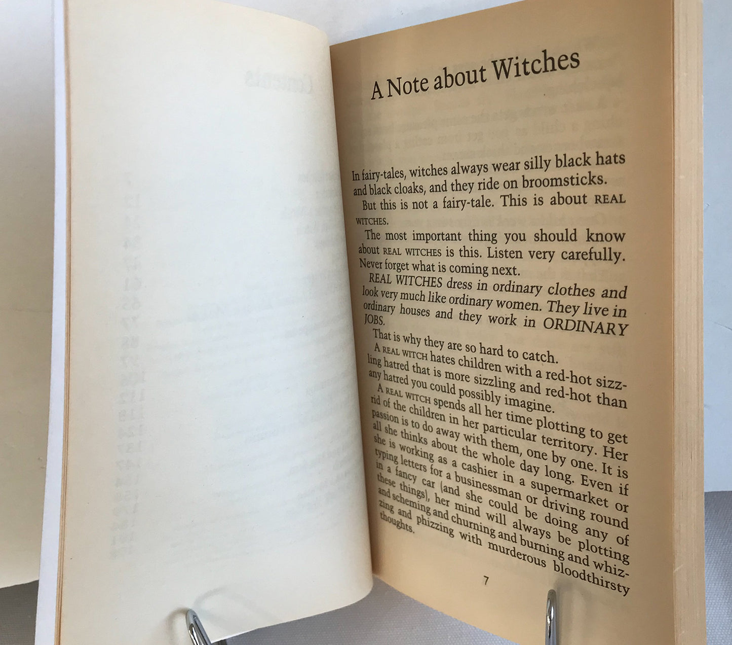 The Witches