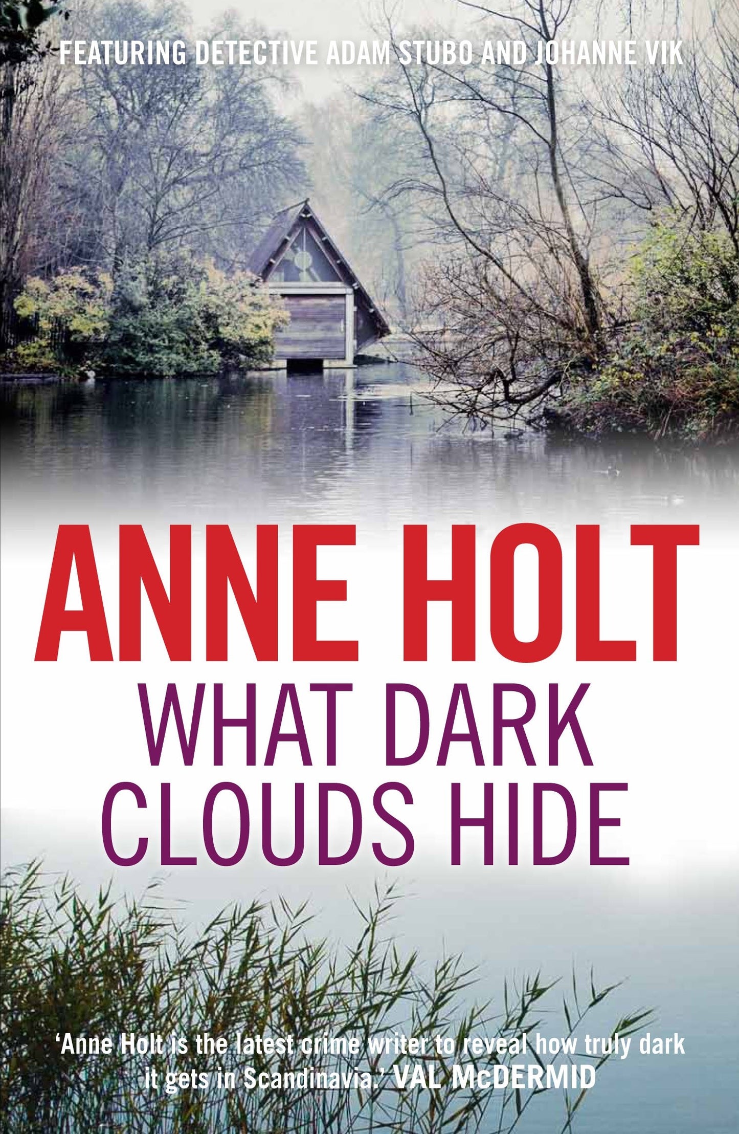 What Dark Clouds Hide (Vik/Stubo 5)