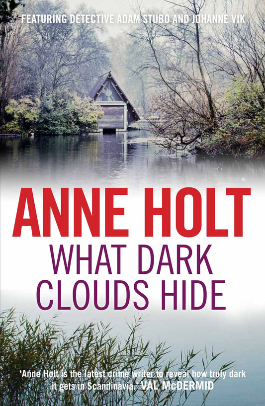 What Dark Clouds Hide (Vik/Stubo 5)