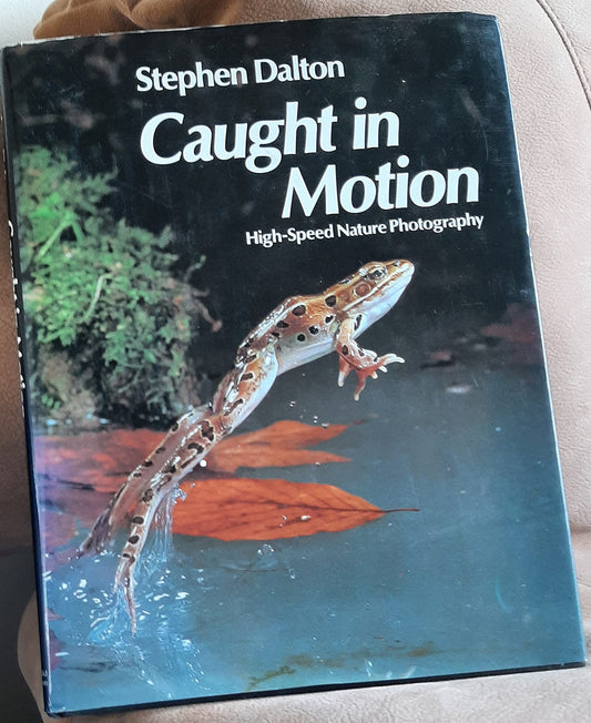Caught in Motion: High Speed Nature Photography Dalton, Stephen